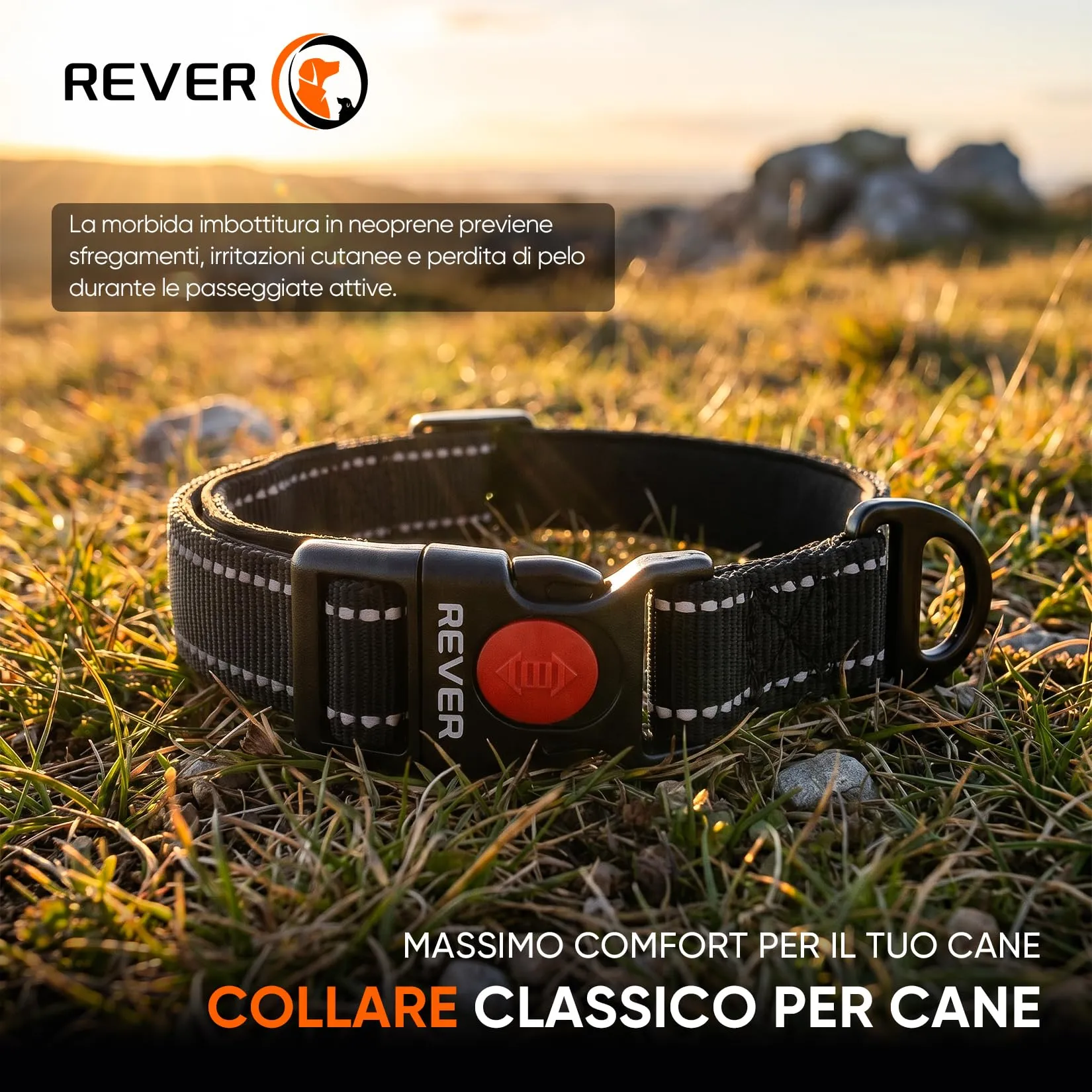 REVER Collare Cane Riflettente, Nylon Resistente, Neoprene Morbido - immagine 2