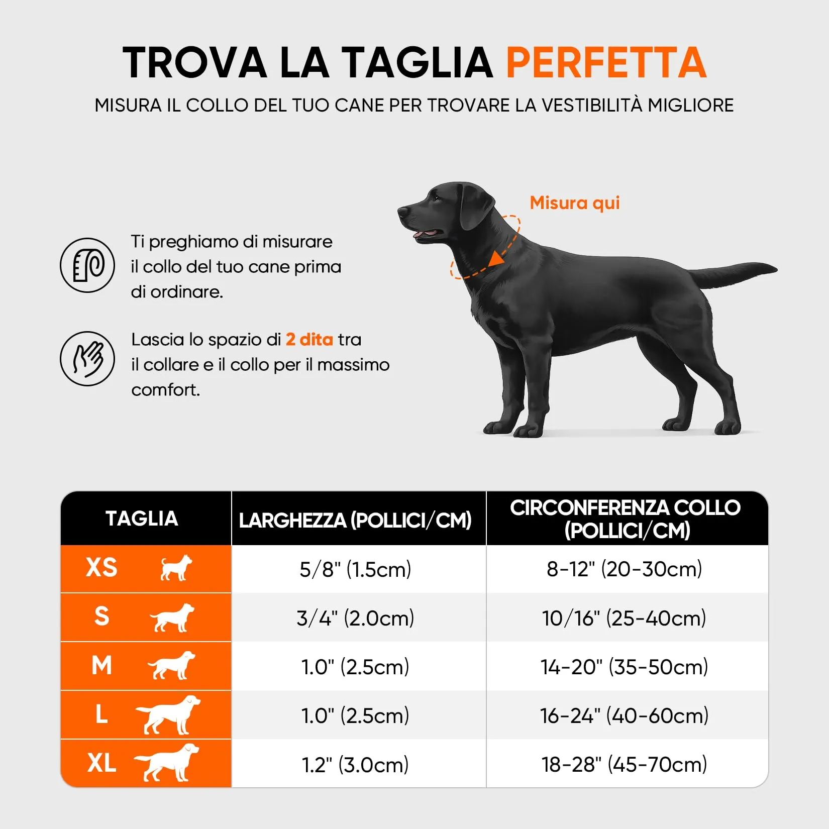 REVER Collare Cane Riflettente, Nylon Resistente, Neoprene Morbido - immagine 3