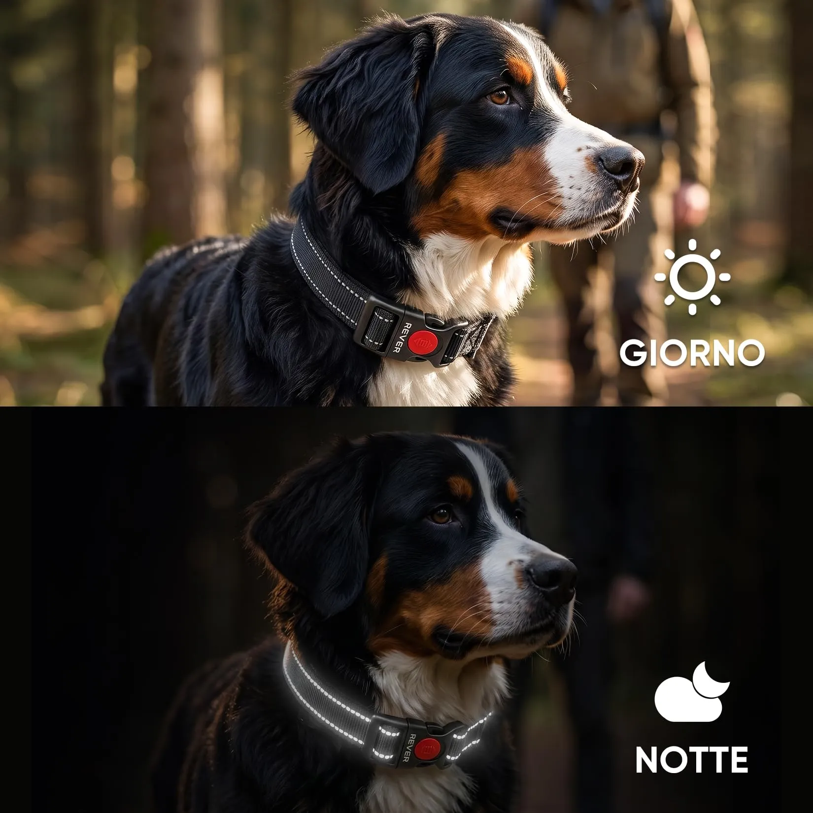 REVER Collare Cane Riflettente, Nylon Resistente, Neoprene Morbido - immagine 6