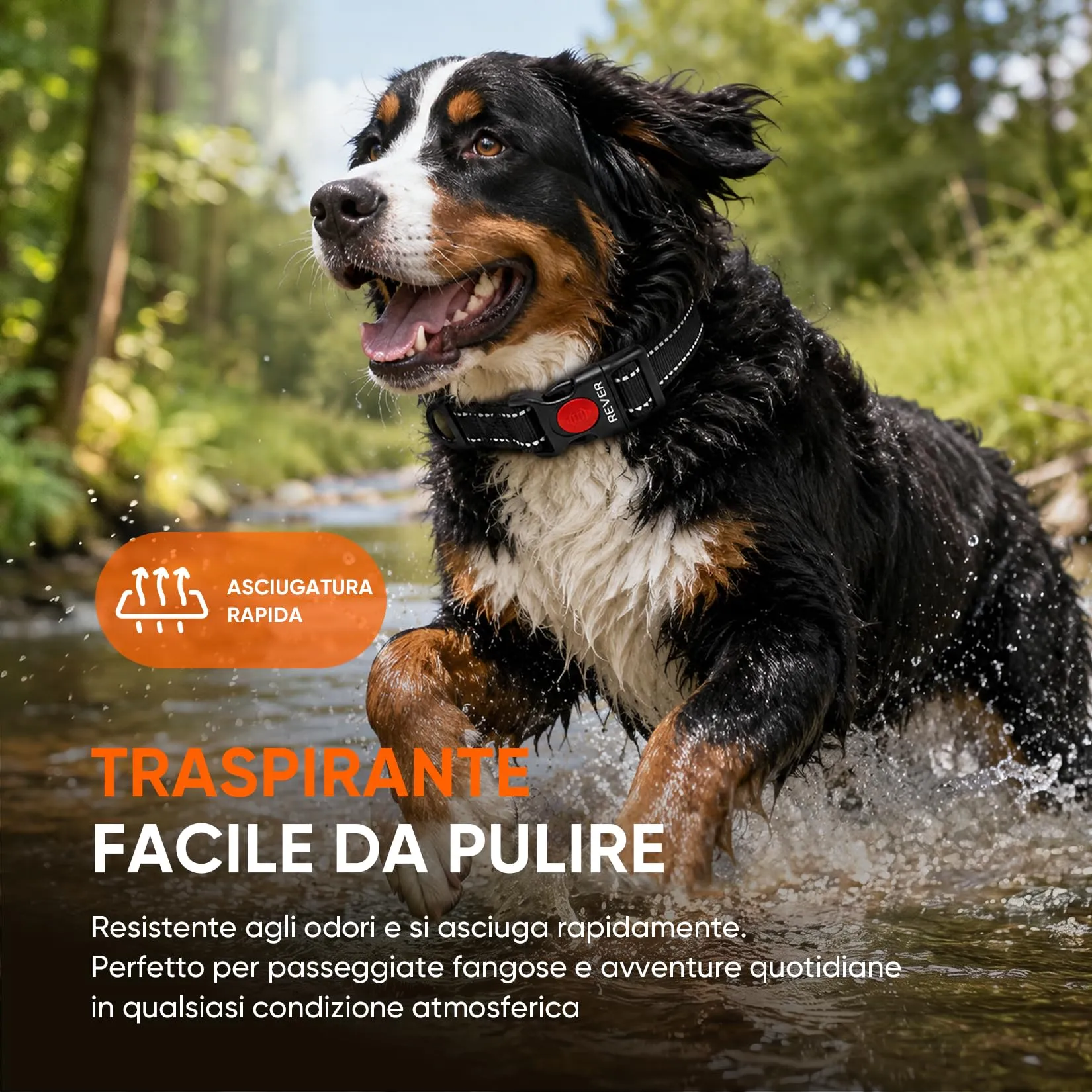 REVER Collare Cane Riflettente, Nylon Resistente, Neoprene Morbido - immagine 7