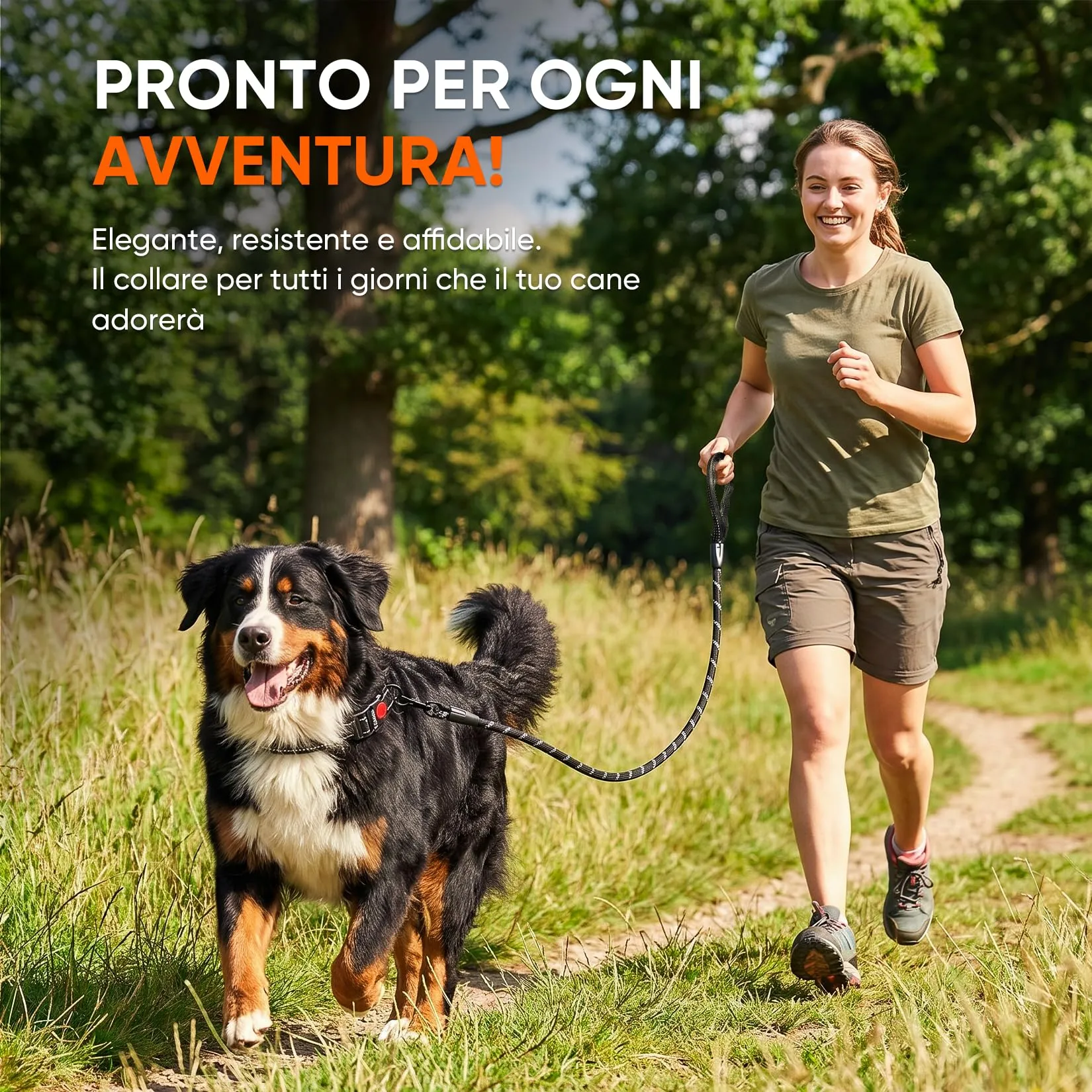 REVER Collare Cane Riflettente, Nylon Resistente, Neoprene Morbido - immagine 8