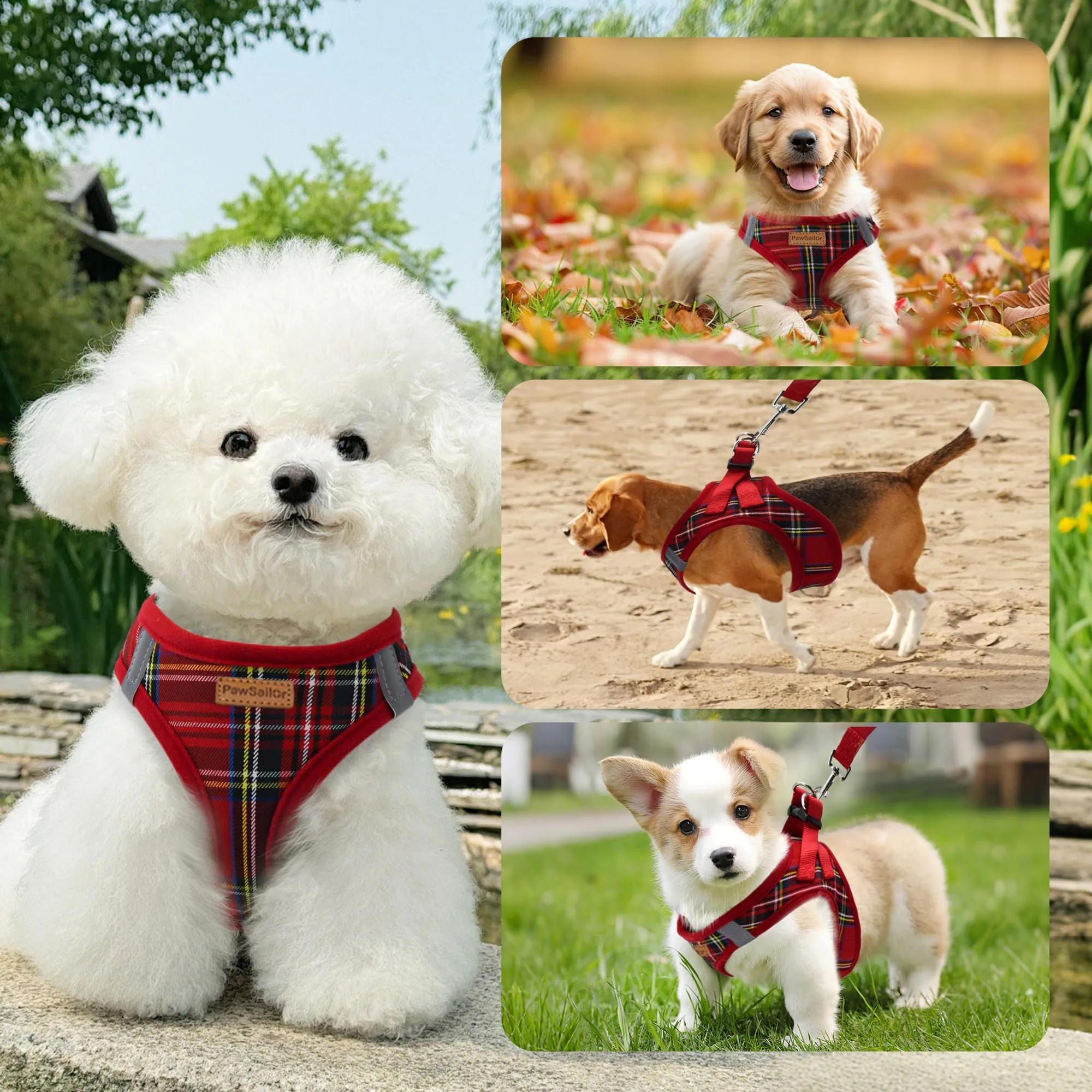 Pawsailor Pettorina Cane Taglia Piccola con Guinzaglio Anti-tiro Rosso S - immagine 6