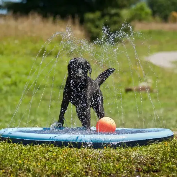 Gioco d'acqua per cani Splash Pool Ferribiella Diametro 150 cm - Giochi per cani - Piscina per cani - immagine 1