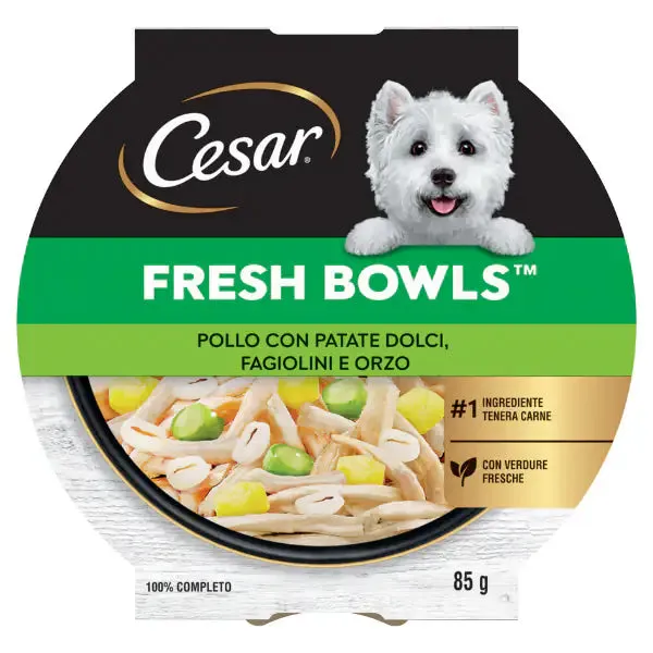 Cesar Fresh Bowls alimento completo per cani di piccola taglia 85 gr Pollo con patate dolci, fagiolini e orzo - confezione da 10 pezzi - Cibo umido per cani - immagine 1