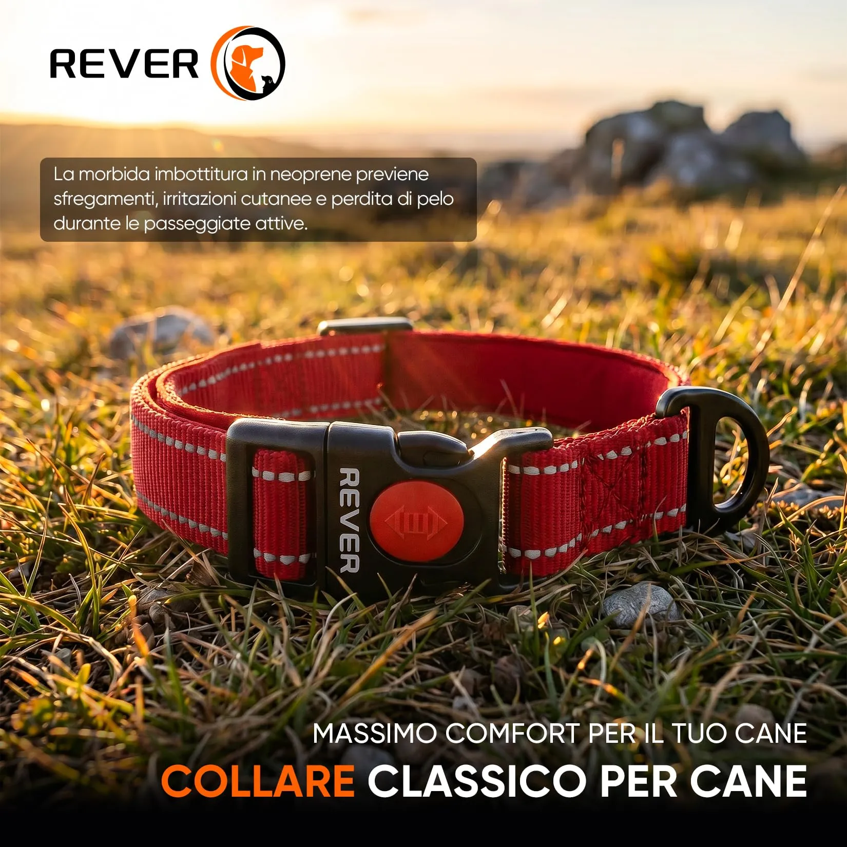 REVER Collare Cane Riflettente, Nylon Resistente, Neoprene Morbido - immagine 2