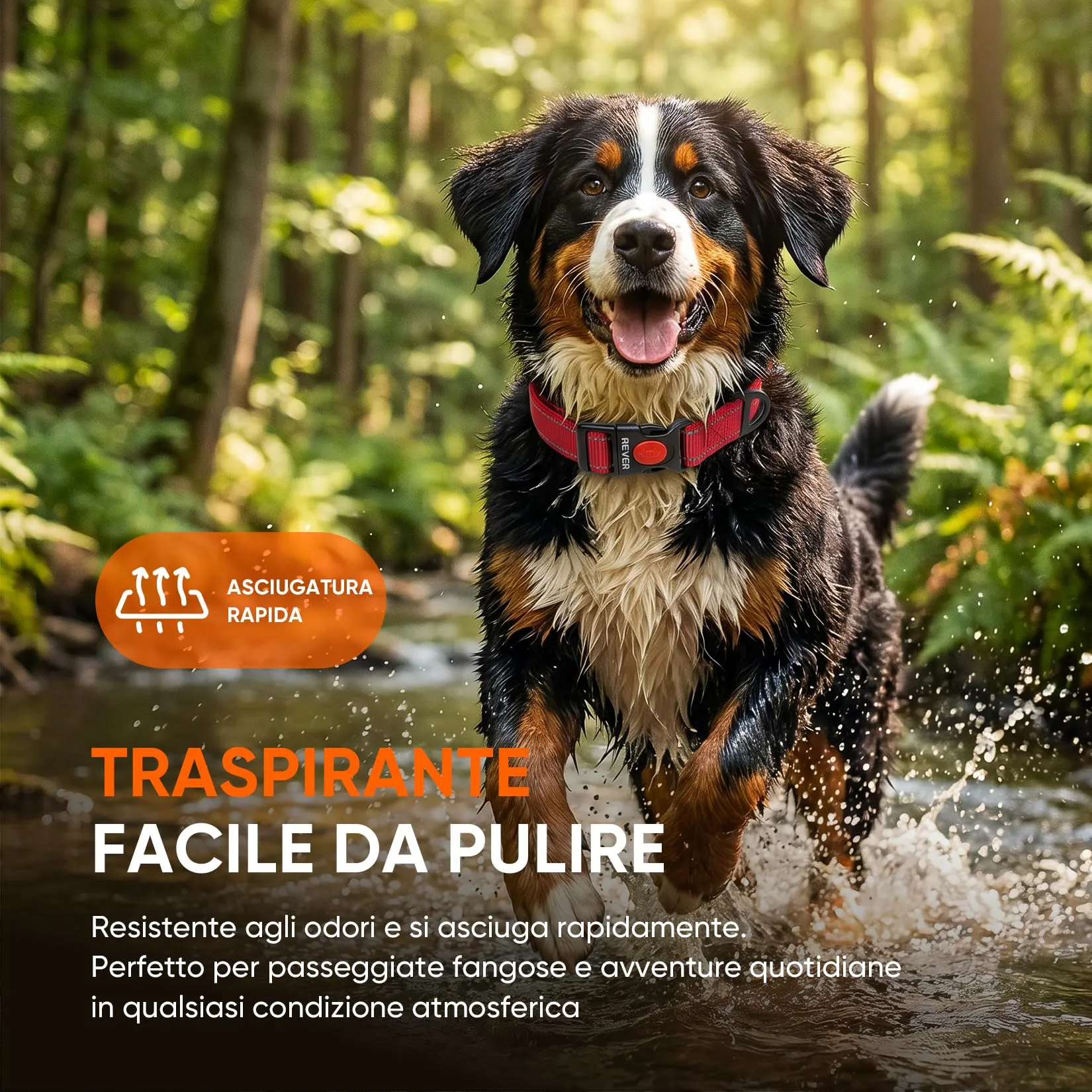 REVER Collare Cane Riflettente, Nylon Resistente, Neoprene Morbido - immagine 7