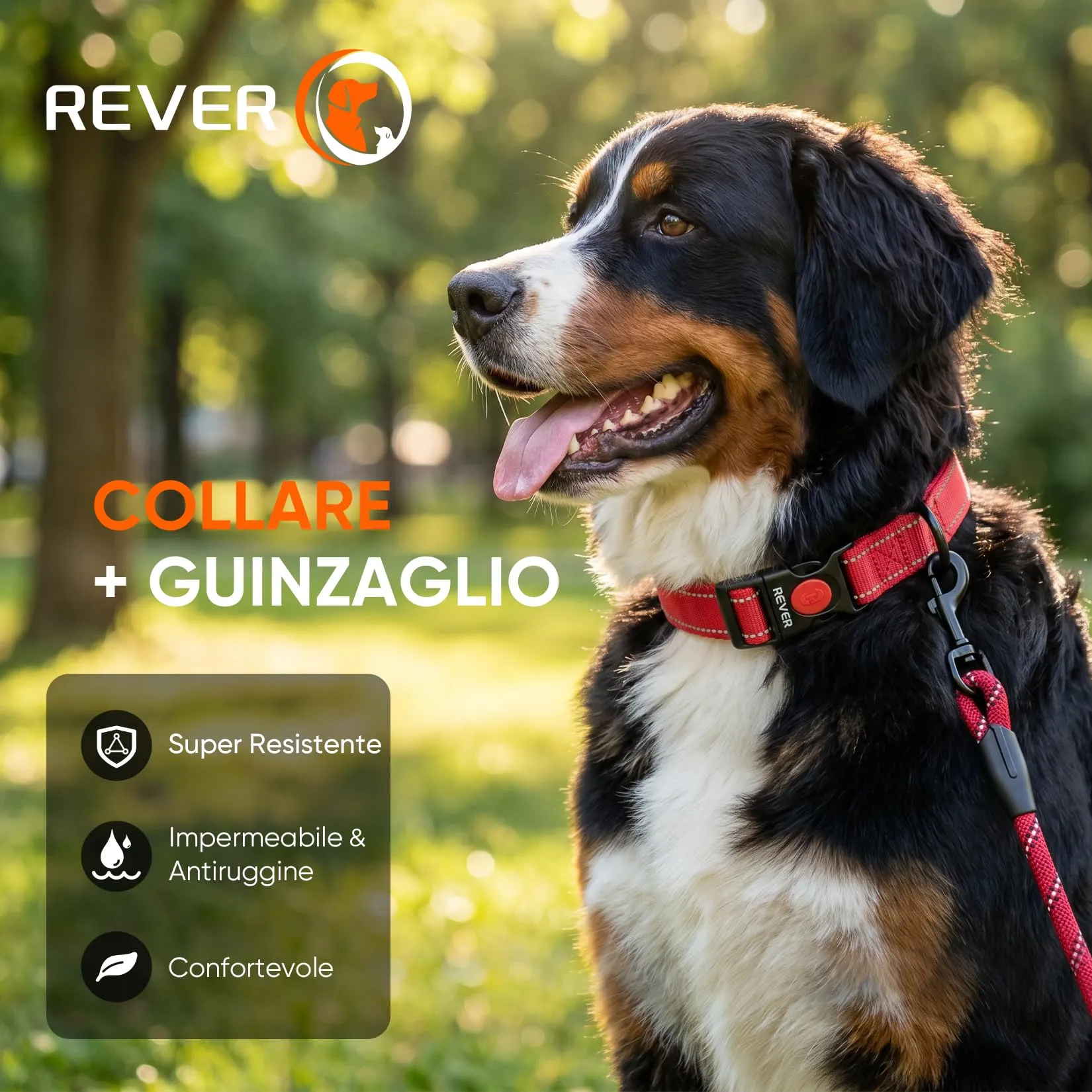 REVER Collare Cane Riflettente, Nylon Resistente, Neoprene Morbido - immagine 8
