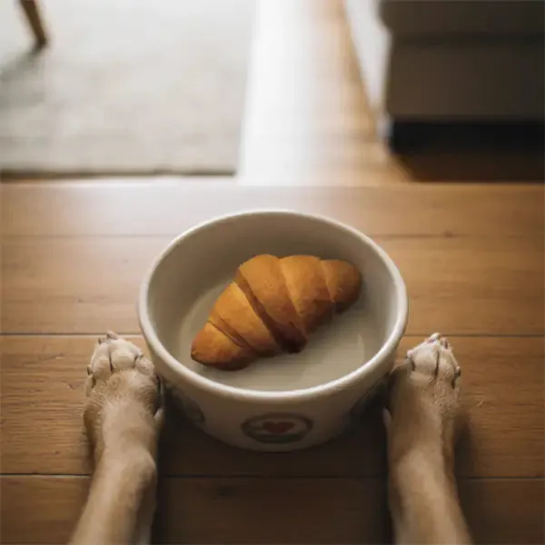 Delì Pet Dolce Colazione Snack Artigianali per cani 50 gr Croissant - immagine 1