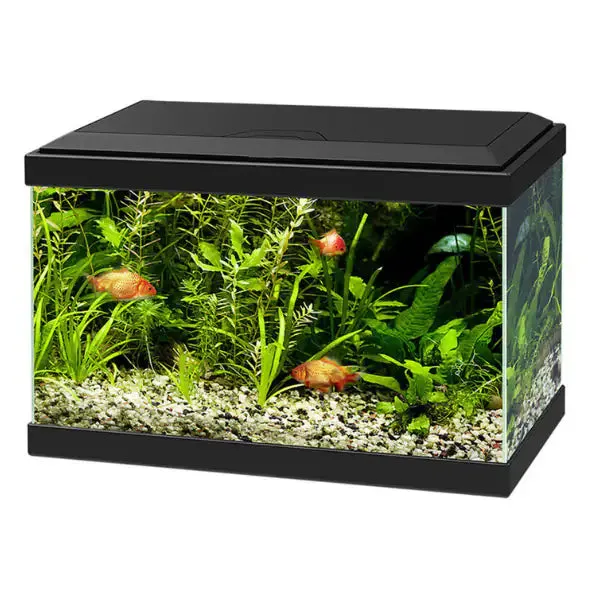 Acquario Ciano Aqua Light 20 Askoll Nero Misura 40x20x31,3 cm - immagine 1