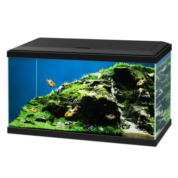 Aquario Ciano Aqua 60 Led Askoll portata 58 litri Nero Misura 60x30x32 cm - immagine 1