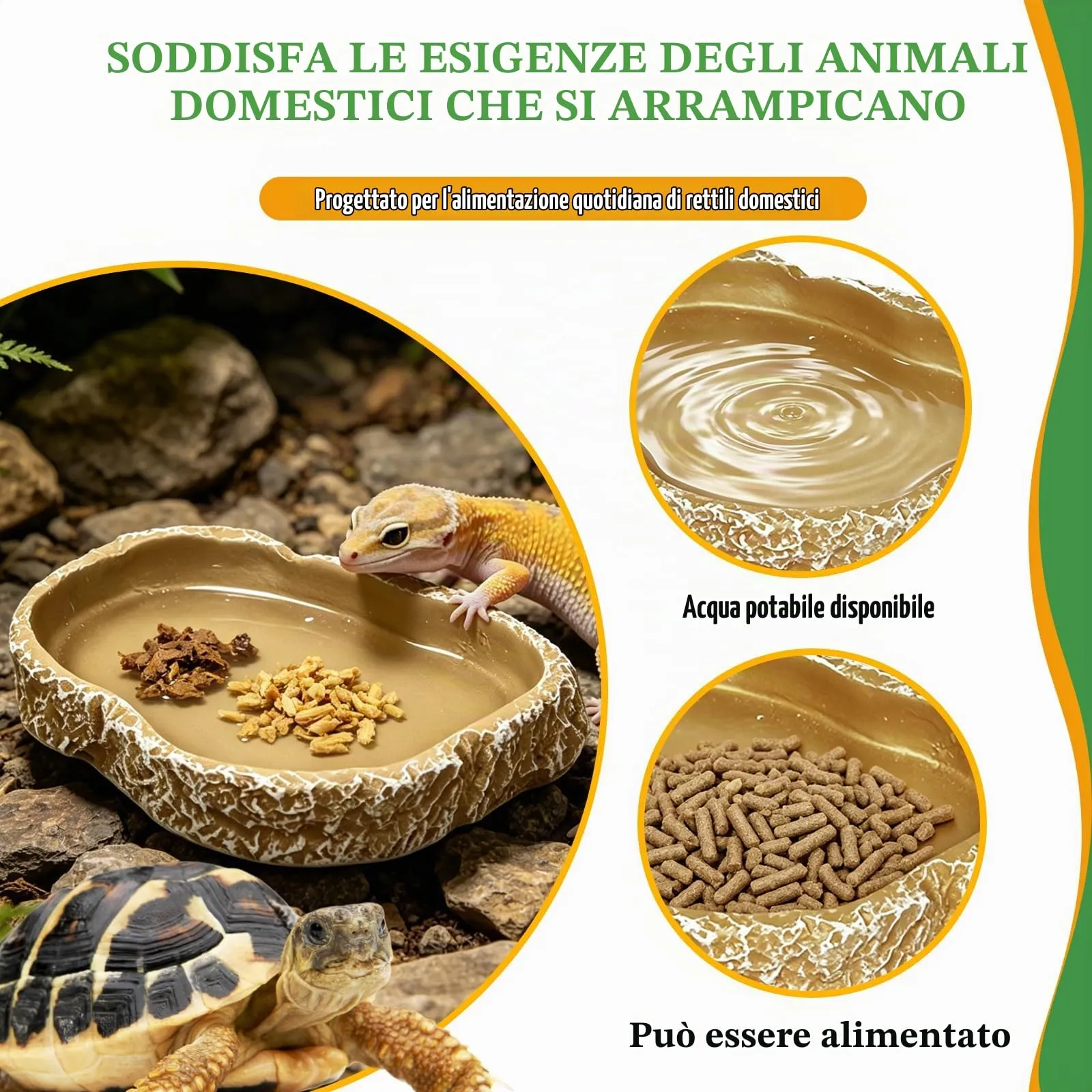 MaNeaz Ciotola Per Tartarughe Di Terra Abbeveratoio Per Tartarughe Di Terra Teca Per Rettili Bacino Idrico Del Bacino Alimentare Reptile Per Tartarughe Geco Serpente（G） - immagine 3