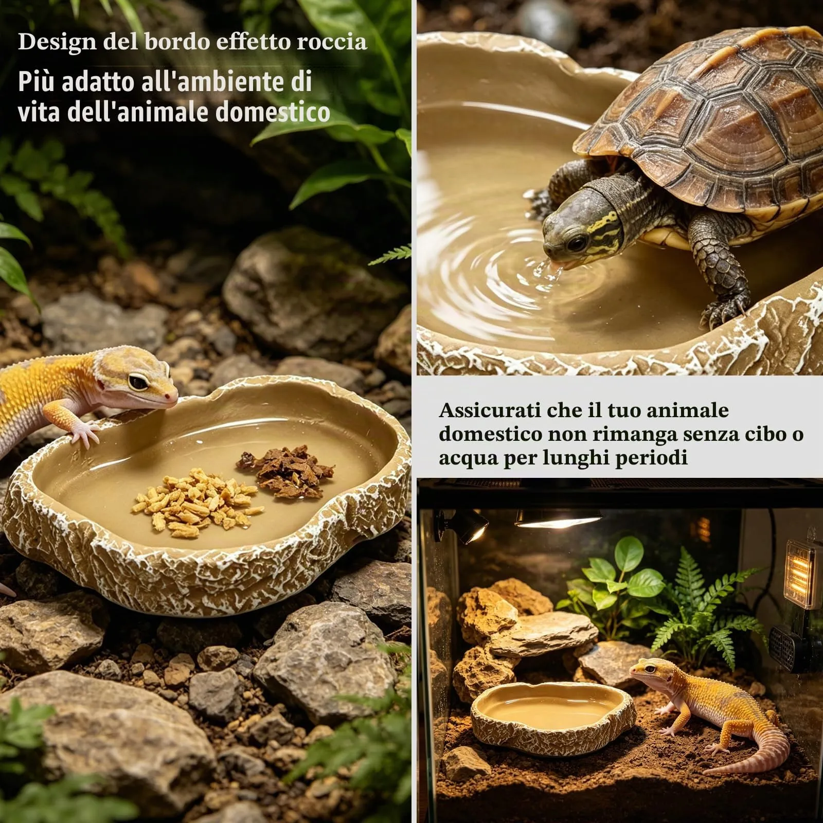 MaNeaz Ciotola Per Tartarughe Di Terra Abbeveratoio Per Tartarughe Di Terra Teca Per Rettili Bacino Idrico Del Bacino Alimentare Reptile Per Tartarughe Geco Serpente（G） - immagine 5