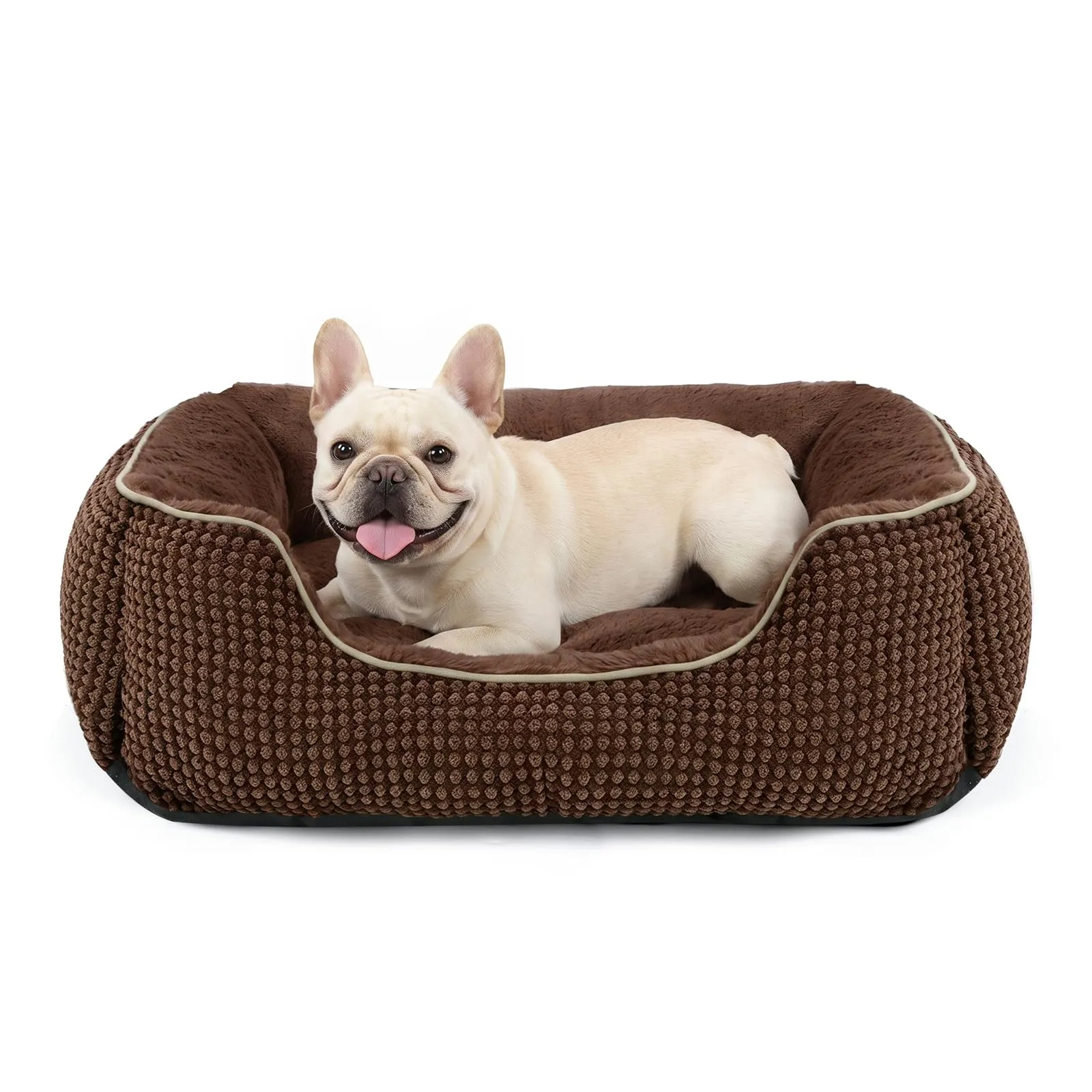 FURTIME Cuccia Cane Interno Piccola, Cuccia per Cani Lavabile, 51x48x15cm - immagine 1