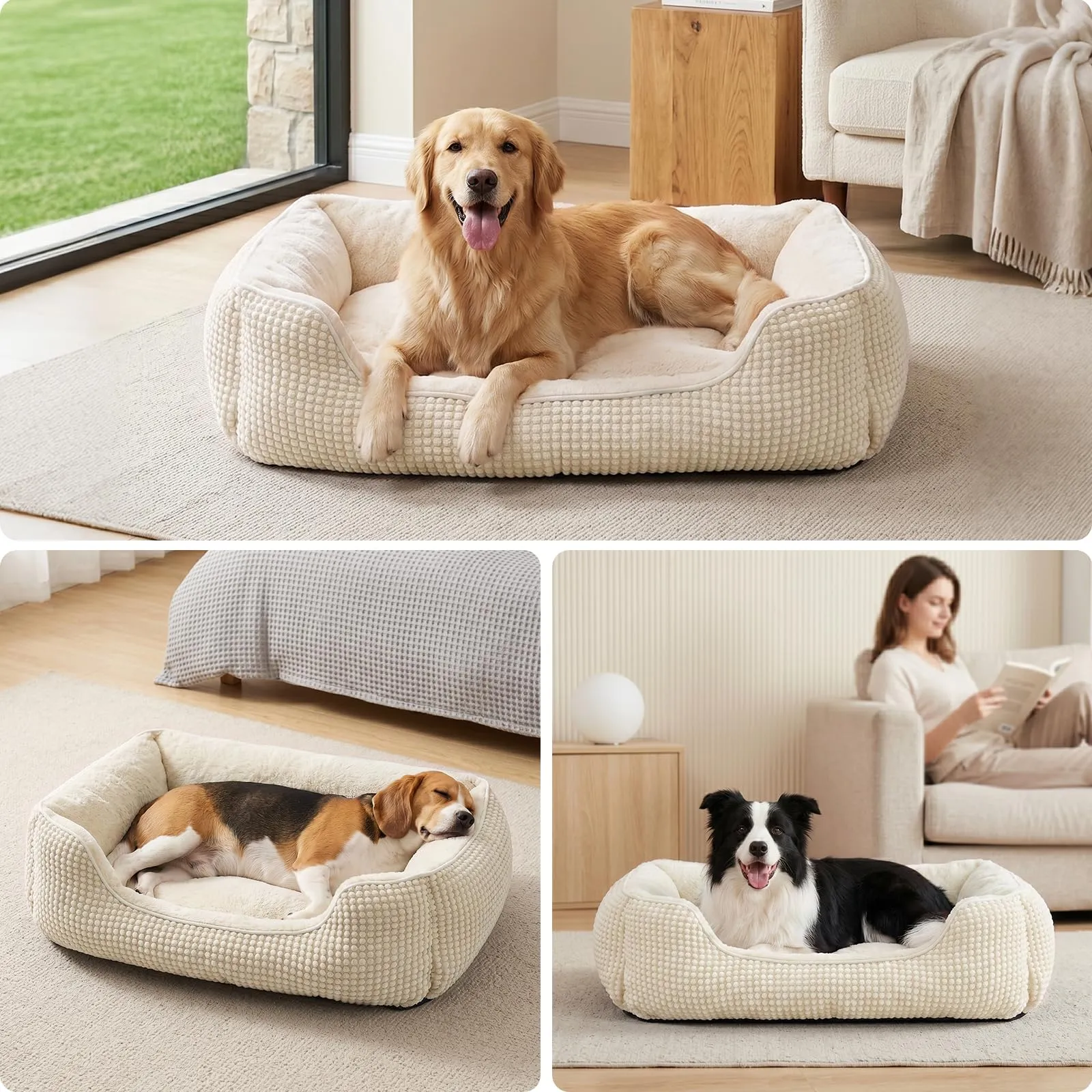 FURTIME Cuccia Cane Interno Media, Cuccia per Cani Lavabile, 76x61x23cm - immagine 2