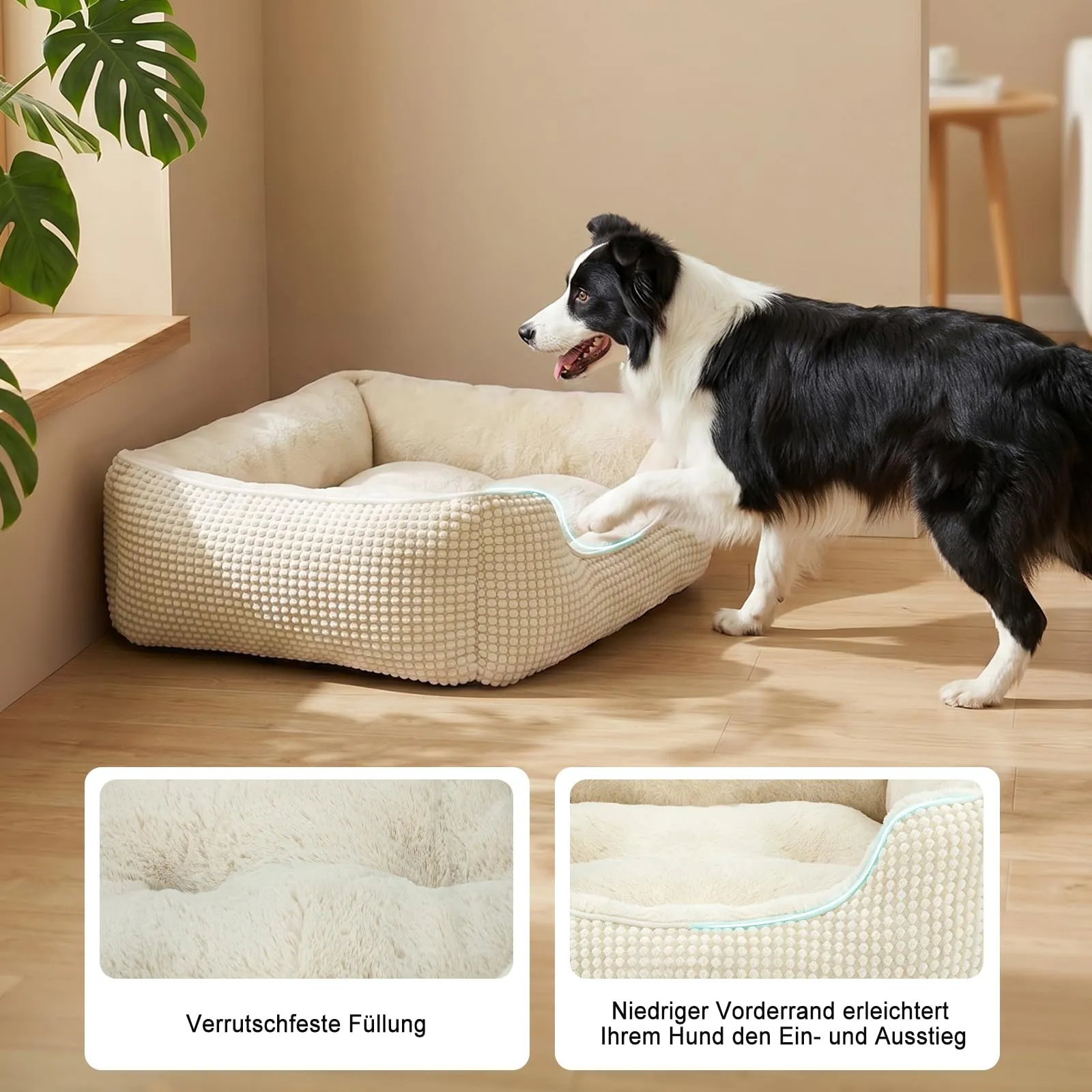 FURTIME Cuccia Cane Interno Media, Cuccia per Cani Lavabile, 76x61x23cm - immagine 5