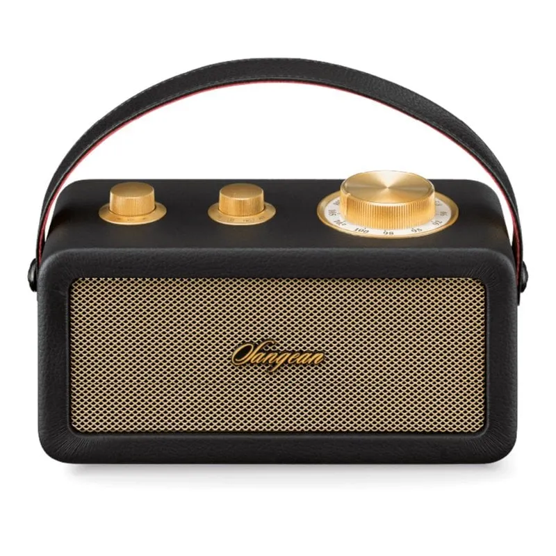 Radio Bluetooth portatile Sangean RA-101 con batteria nera/oro - immagine 1