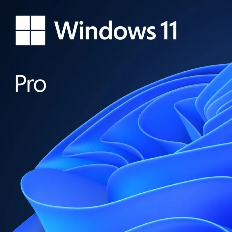 Download digitale FPP della licenza permanente spagnola di Microsoft Windows 11 Pro 64 bit - immagine 1
