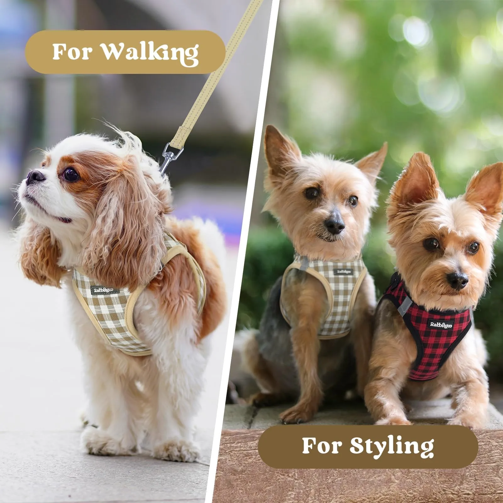 rabbitgoo Pettorina Cane Taglia Piccola, Leggero e Morbido, Quadri Beige XS - immagine 9