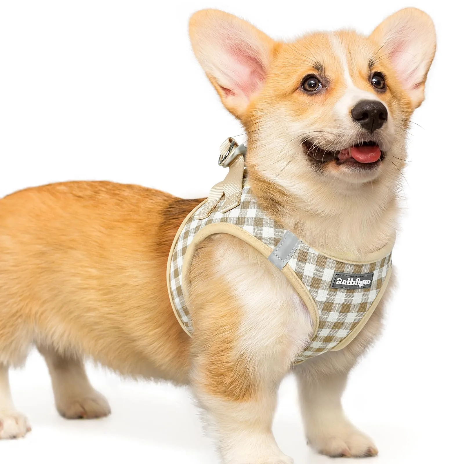rabbitgoo Pettorina Cane Taglia Piccola, Leggero e Morbido, Quadri Beige L - immagine 1