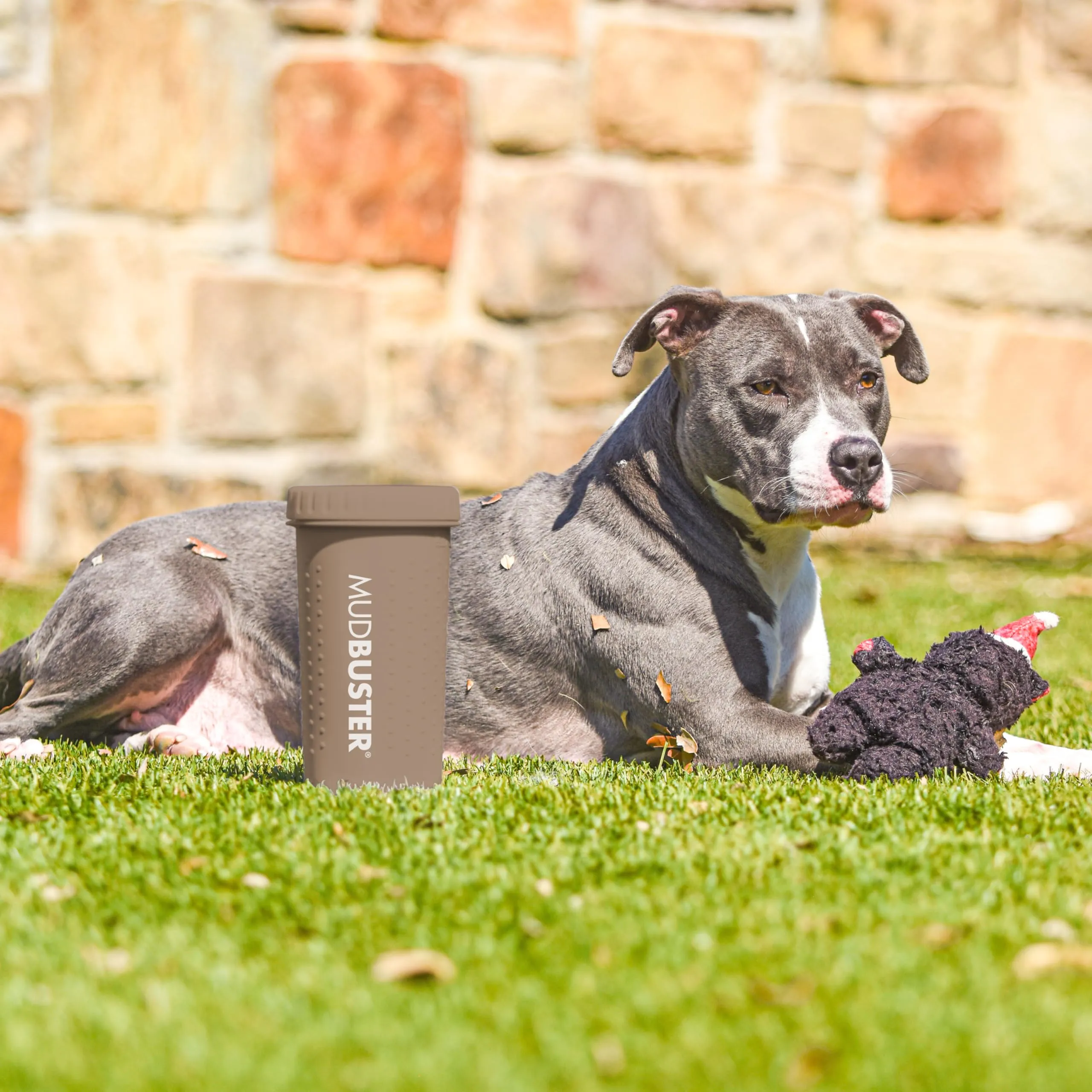 Dexas MudBuster - Pulitore per zampe di cane grande, color tortora, portatile, per zampe fangose, con setole in silicone delicato, pulizia rapida - immagine 7
