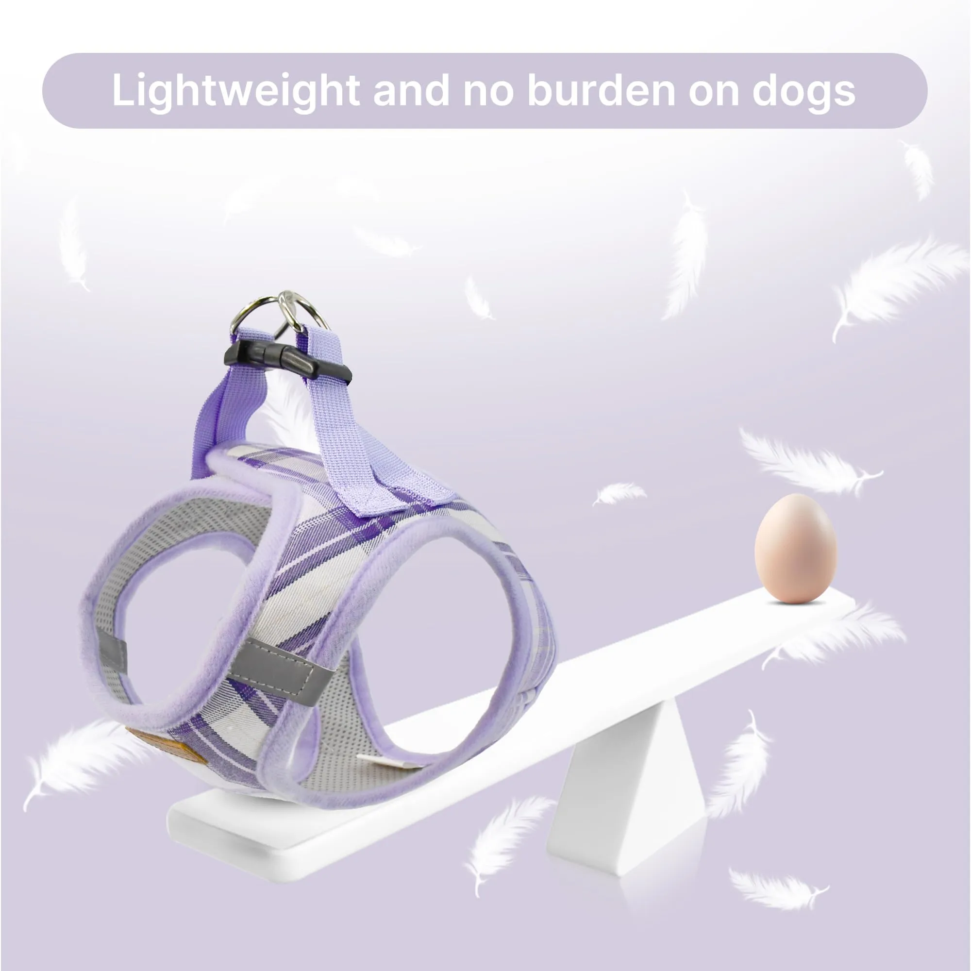 Pawsailor Pettorina Cane Piccola con Guinzaglio Anti-tiro Viola Chiaro XXXS - immagine 7