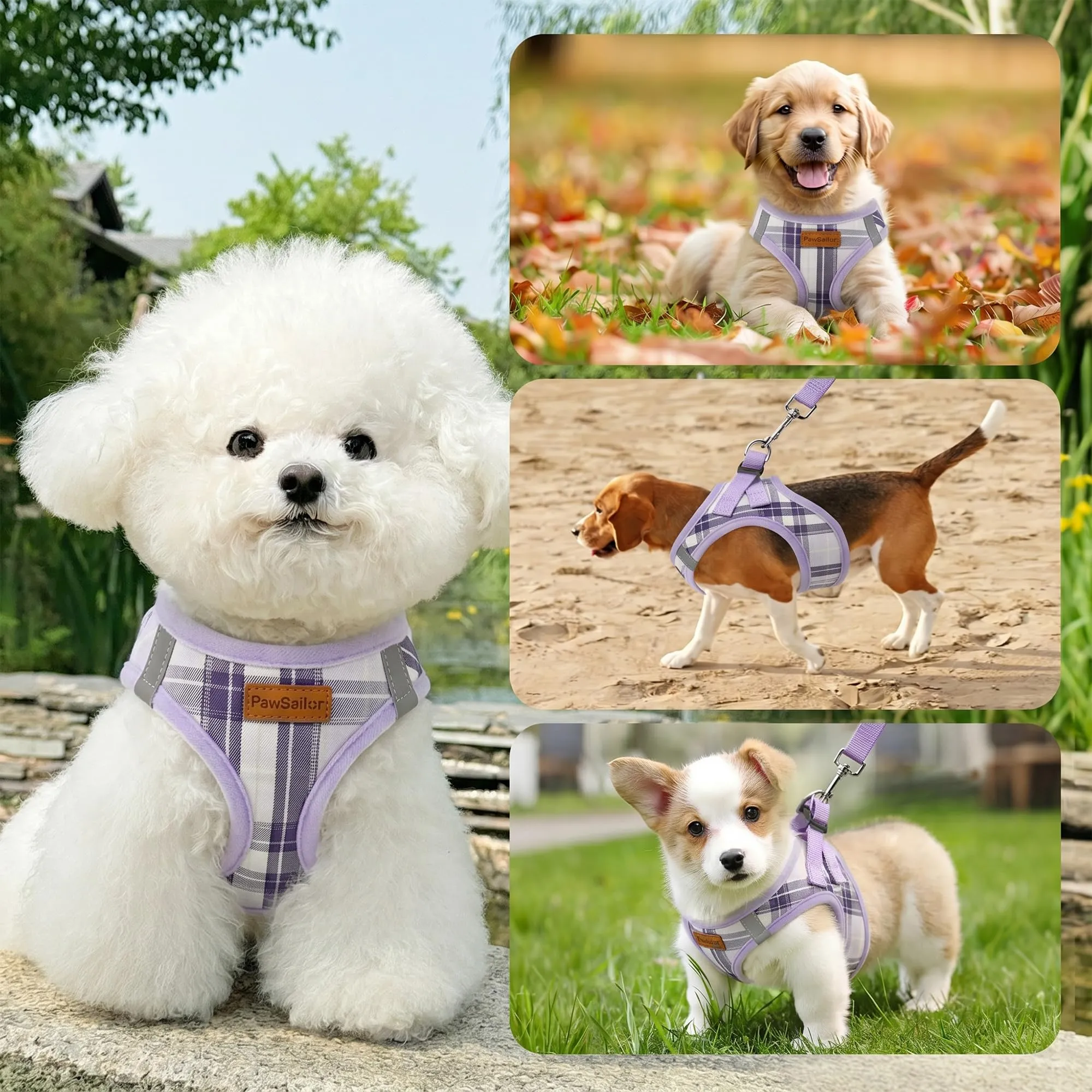 Pawsailor Pettorina Cane Piccola con Guinzaglio Anti-tiro Viola Chiaro M - immagine 6