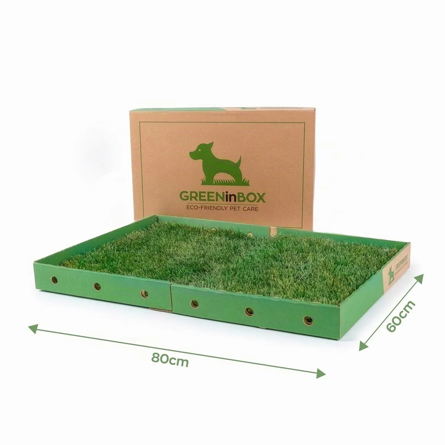 GreenInBox® XL Zolla in Vera Erba per Cani – Lettiera Naturale per Training Cucciolo e Cani in Appartamento, Taglia Grande 60x80 cm - immagine 2