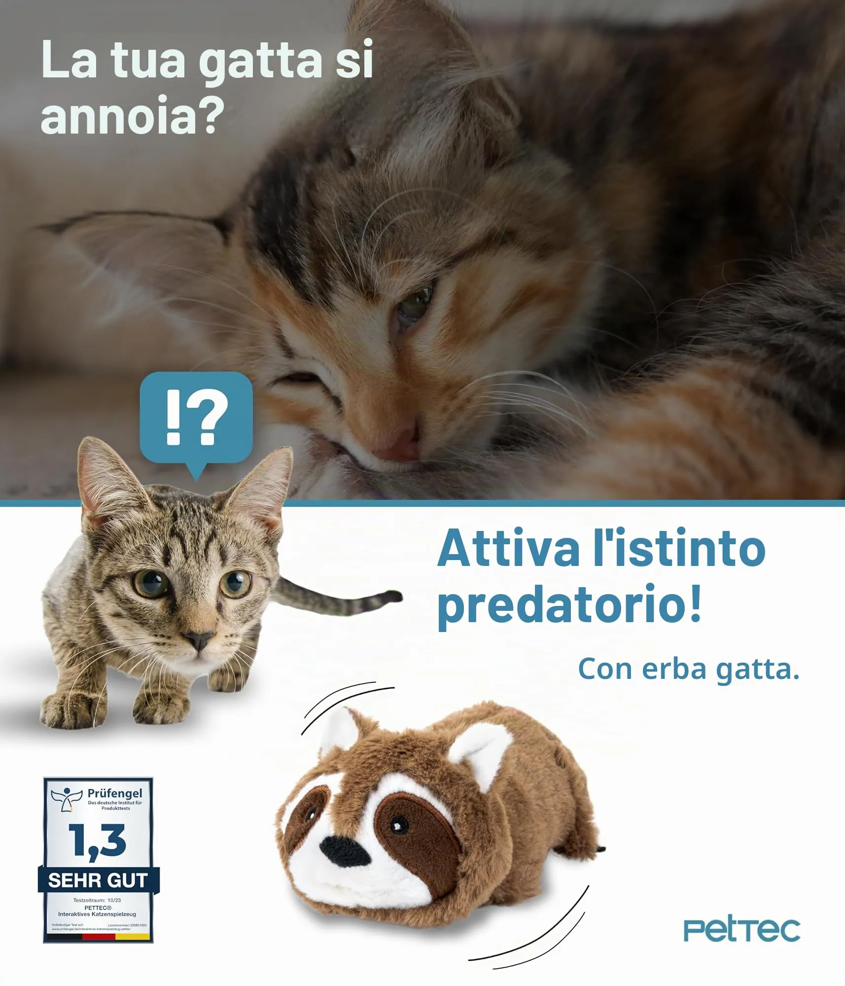 PetTec® Giocattolo interattivo elettrico per gatti per l'autointrattenimento - Procione mobile con erba gatta - Giocattolo interattivo per gatti automatico - Giocattoli per gatti - immagine 2