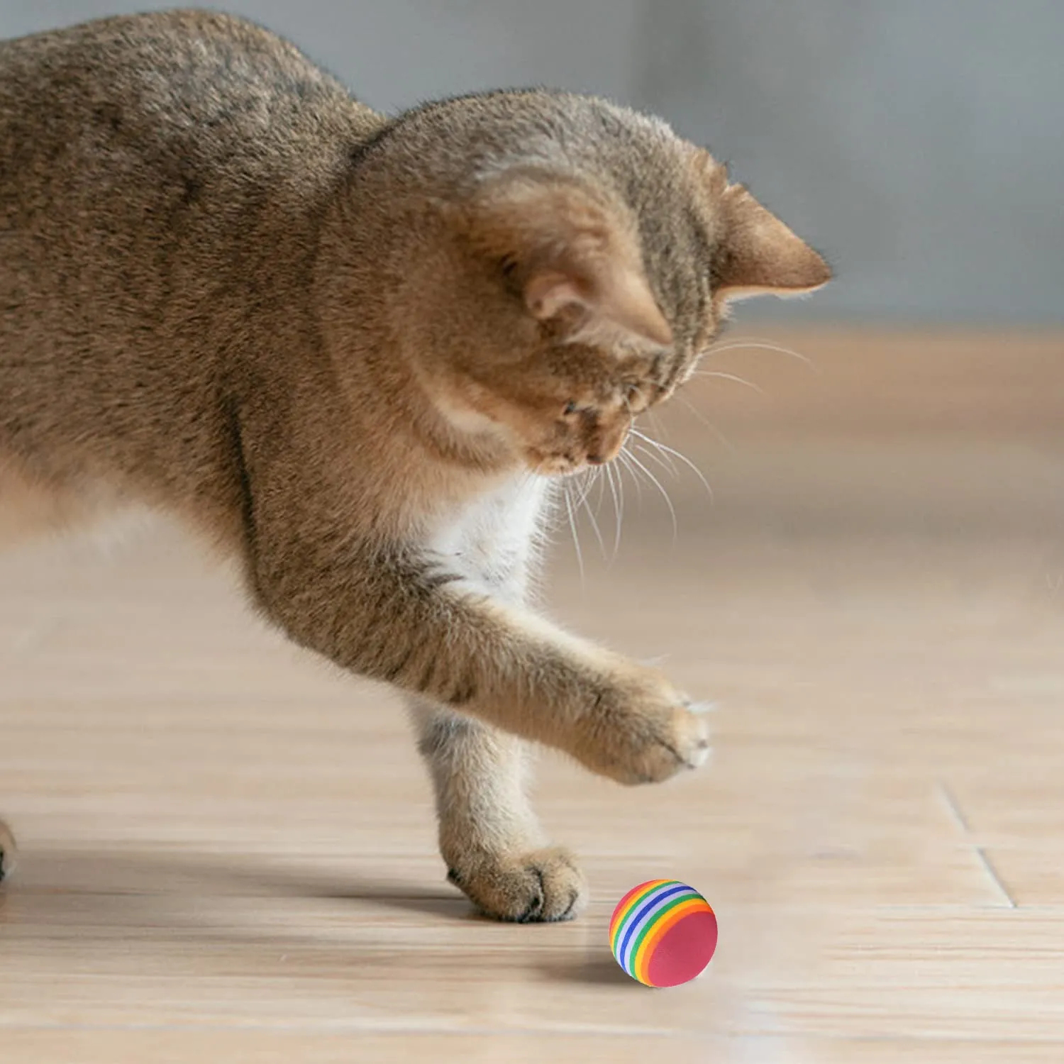 OMIGA 24 Pezzi Pallina Gatto Giochi per Gatti Interattivi Arcobaleno 3.5 cm - immagine 7