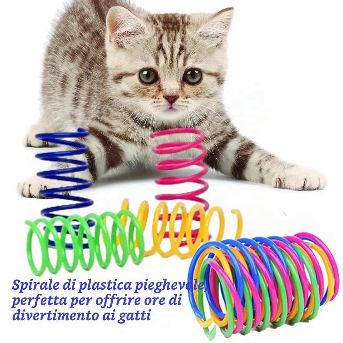 QEDBOJE 20 Pezzi Giocattolo per Gatti a Spirale, Novità Giocattolo a Molla, Giocattolo in Plastica Pieghevole, Giocattolo a Molla Colorato per Gatti, per Animali Domestici (Colorato) - immagine 4