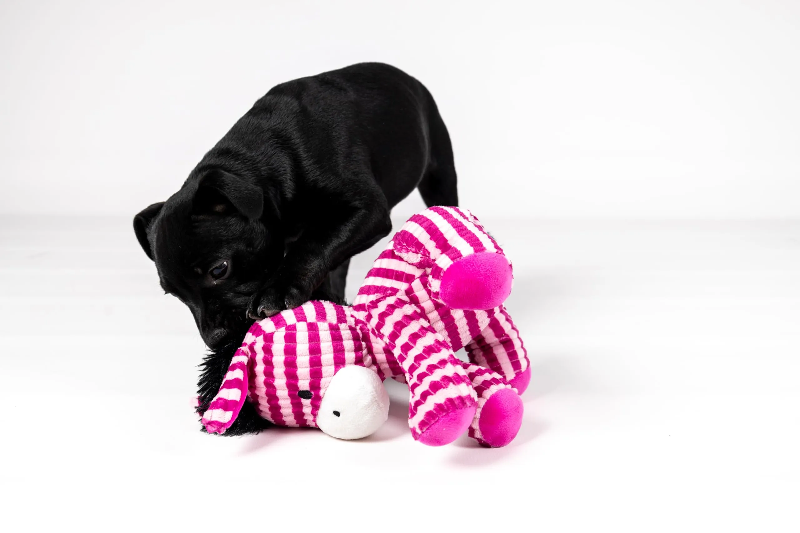 Flamingo Giochi per gatti – Azor asino rosa XL – 29 cm – Peluche morbido e velluto a coste – Con squeaker – Design unico - immagine 4