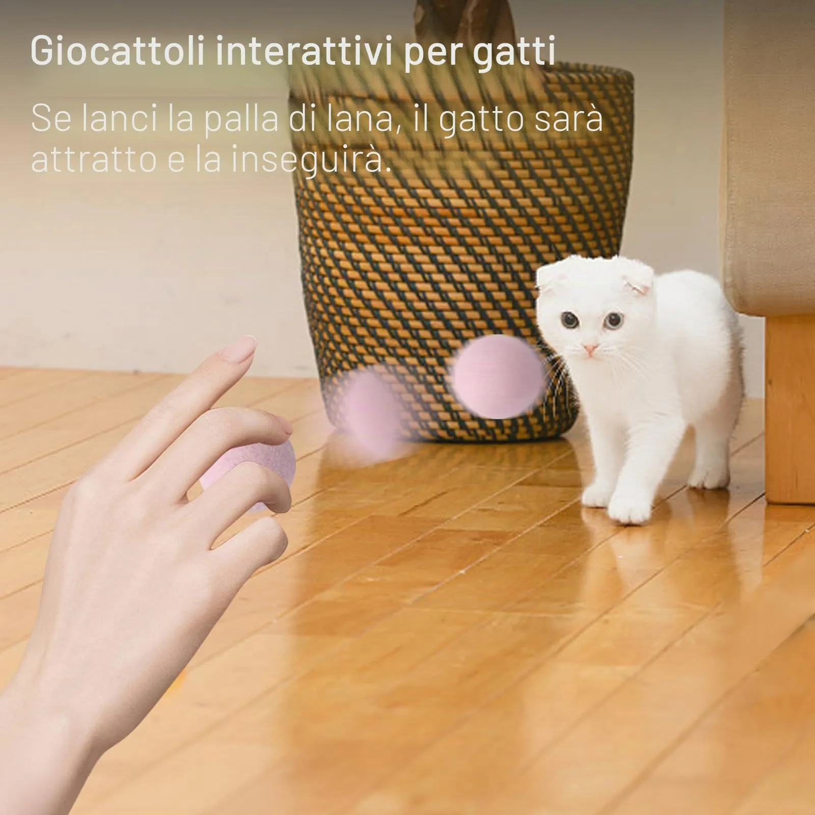 ROEOWENE 12 Pezzi Colorate Palline di Feltro per Gatti 3CM Palline per - immagine 4