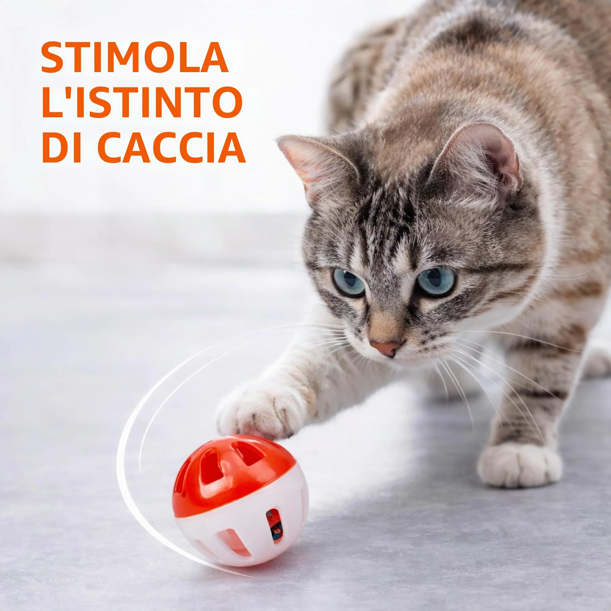 PARENCE - Set di 4 Palle da Gioco per Gatti 4 cm – Giocattoli Interattivi con Campana – Accessorio per Divertimento ed Esercizio Gattino e Gatto Adulto - immagine 2