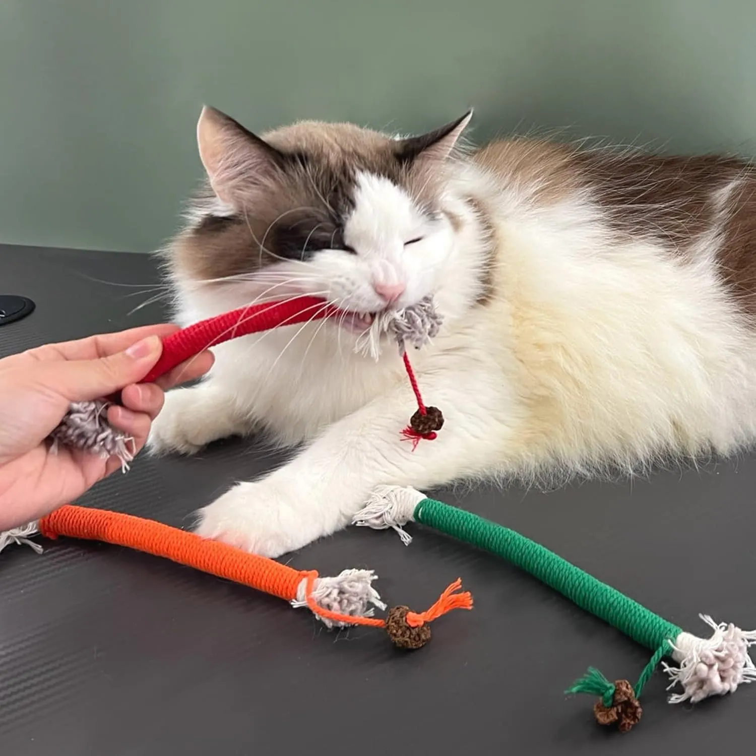 SUOXU Corda di cotone da masticare con erba gatt - immagine 5