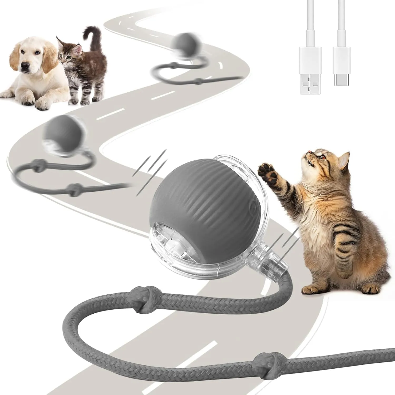 2 Pezzi Giocattolo Interattivo per Gatti, Palla Elettrica, Ricaricabile Giochi per Gatti da Caccia con 3 Modalità, Palla Automatica Intelligente Elettrico Palla Rotante a 360 Gradi per Gatti e Cani - immagine 1