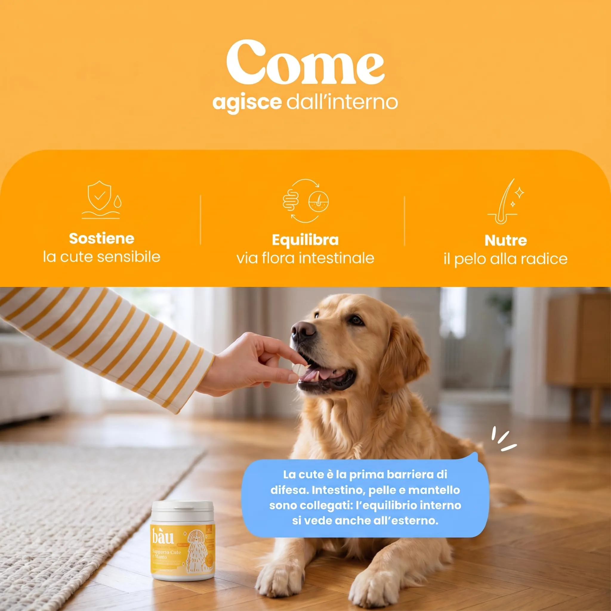 Bau Integratore Sollievo Prurito Cane Allergie Stagionali o Alimentari, Supporto Dermatite Cane Senza Pollo, Malassezia Cane con Postbiotici, Biotina, Omega, Zinc- 60cps - immagine 7