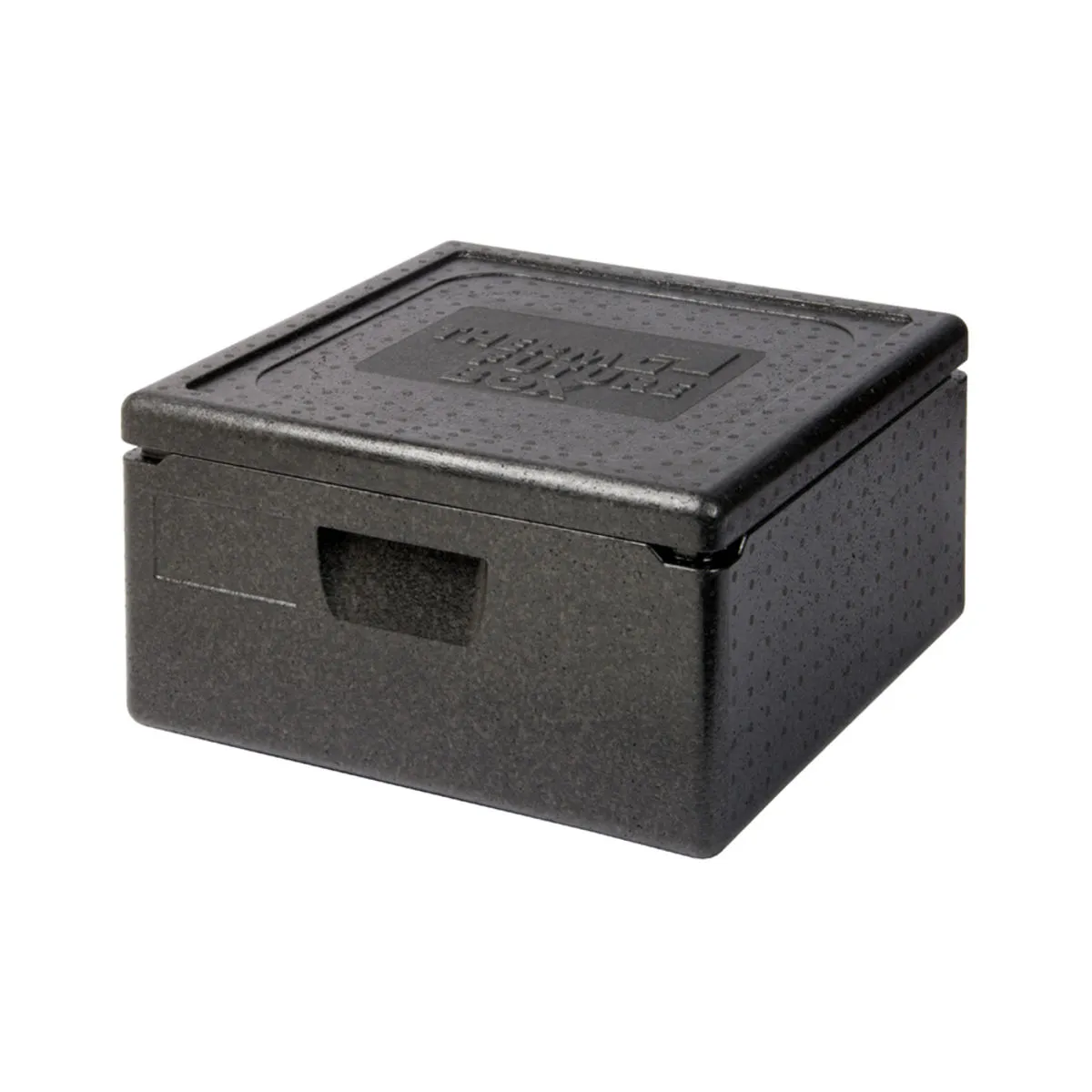 Thermo Future Box CONTENITORE ISOTERMICO PIZZA GRANDE, 35 l; 35000 ml, 48x48x26.5 cm (LxLxH); nero - immagine 1