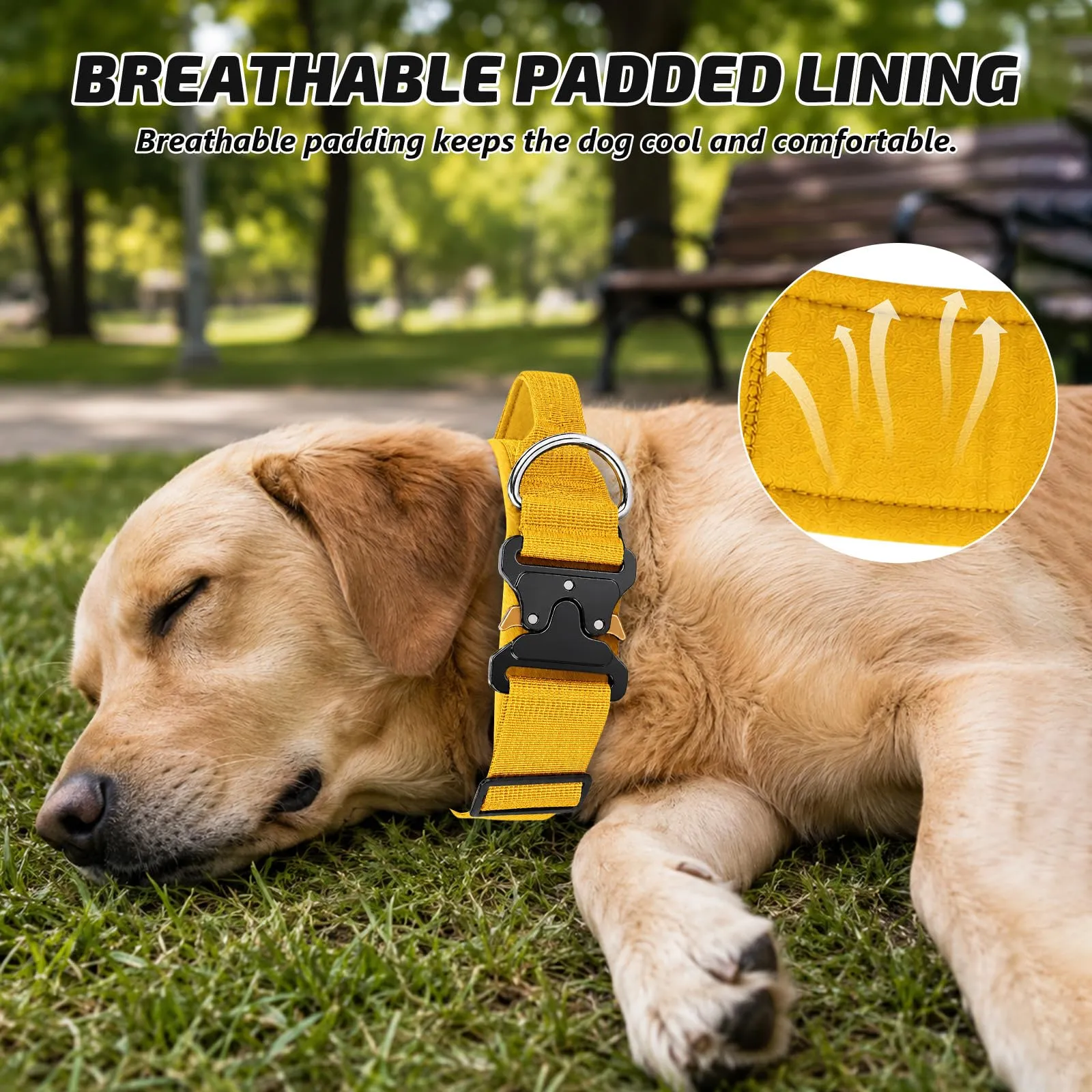 Collare Cane, Collare Tattico Regolabile per Cani Taglia Grande e Media, Larga 3,8 cm, Collari Militare in Nylon per Cani con Maniglia e Robusta Fibbia Metallica Sblocco Rapido (Giallo, L) - immagine 4