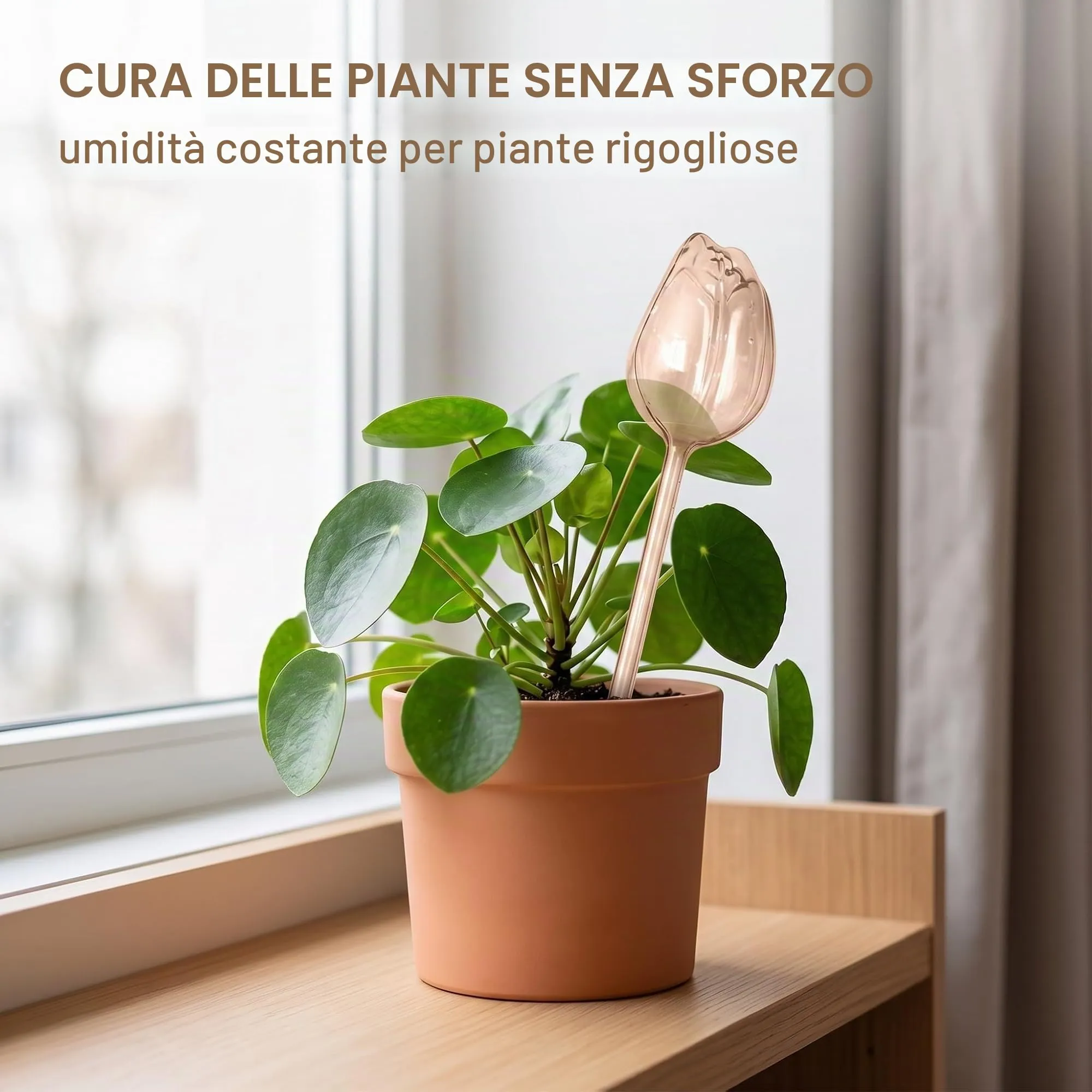 ZYOMVUN 5 Pezzi Palline per Irrigazione per Piante, irrigazione a rilascio lento multicolore, Abbeveratoio trasparente a forma di uccello, Globi autoirriganti in plastica, per piante da interno ed - immagine 2