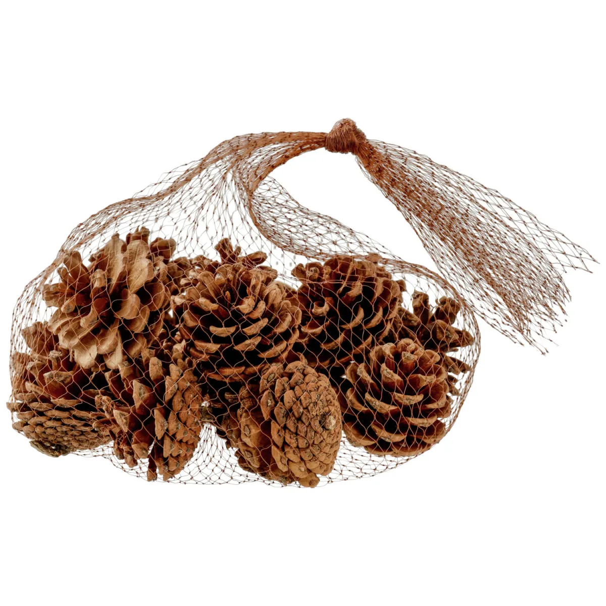 Pigne Dalip; 4 cm (Ø); marrone - immagine 1