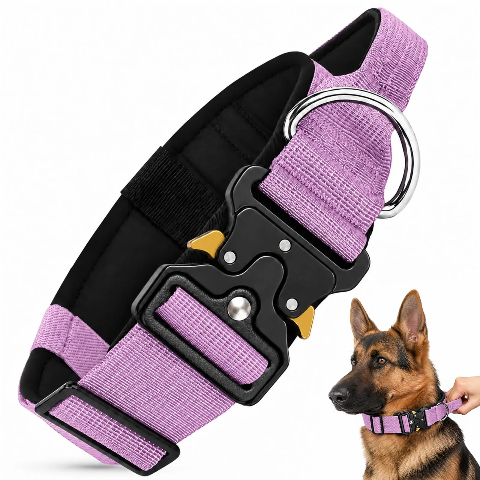 Collare Cane, Collare Tattico Regolabile per Cani Taglia Grande e Media, Larga 3,8 cm, Collari Militare in Nylon per Cani con Maniglia e Robusta Fibbia Metallica Sblocco Rapido (Viola, M) - immagine 1