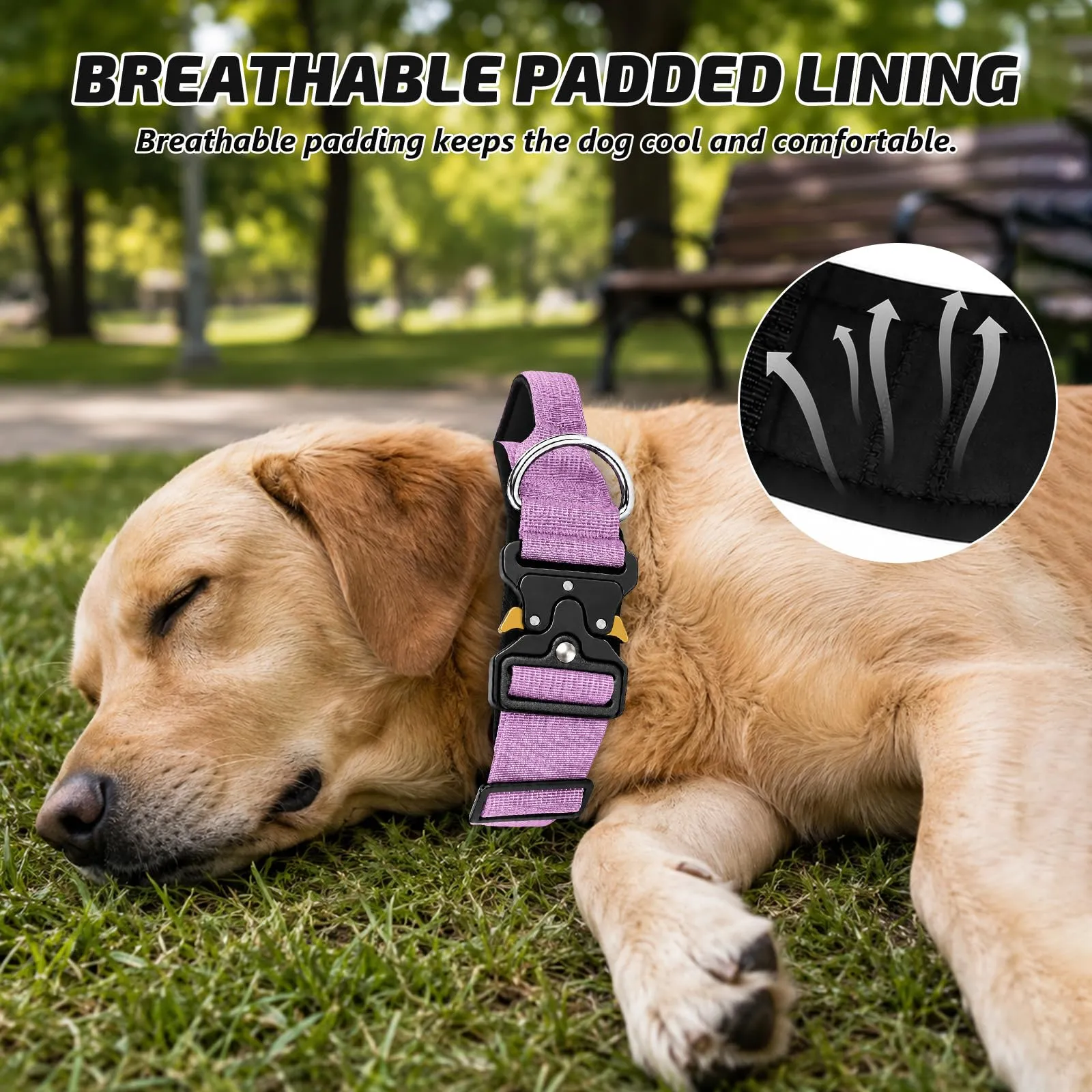 Collare Cane, Collare Tattico Regolabile per Cani Taglia Grande e Media, Larga 3,8 cm, Collari Militare in Nylon per Cani con Maniglia e Robusta Fibbia Metallica Sblocco Rapido (Viola, M) - immagine 4