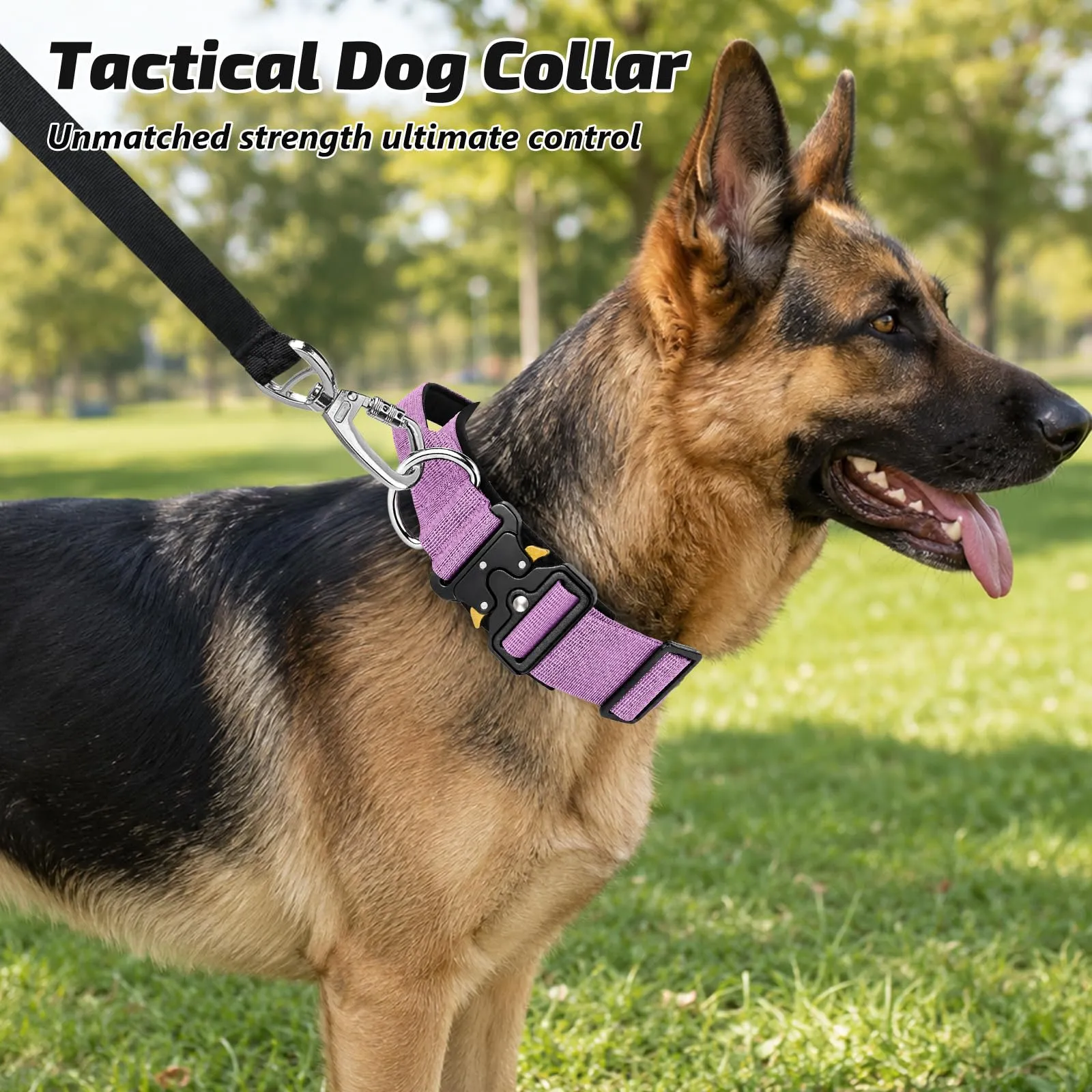 Collare Cane, Collare Tattico Regolabile per Cani Taglia Grande e Media, Larga 3,8 cm, Collari Militare in Nylon per Cani con Maniglia e Robusta Fibbia Metallica Sblocco Rapido (Viola, M) - immagine 7