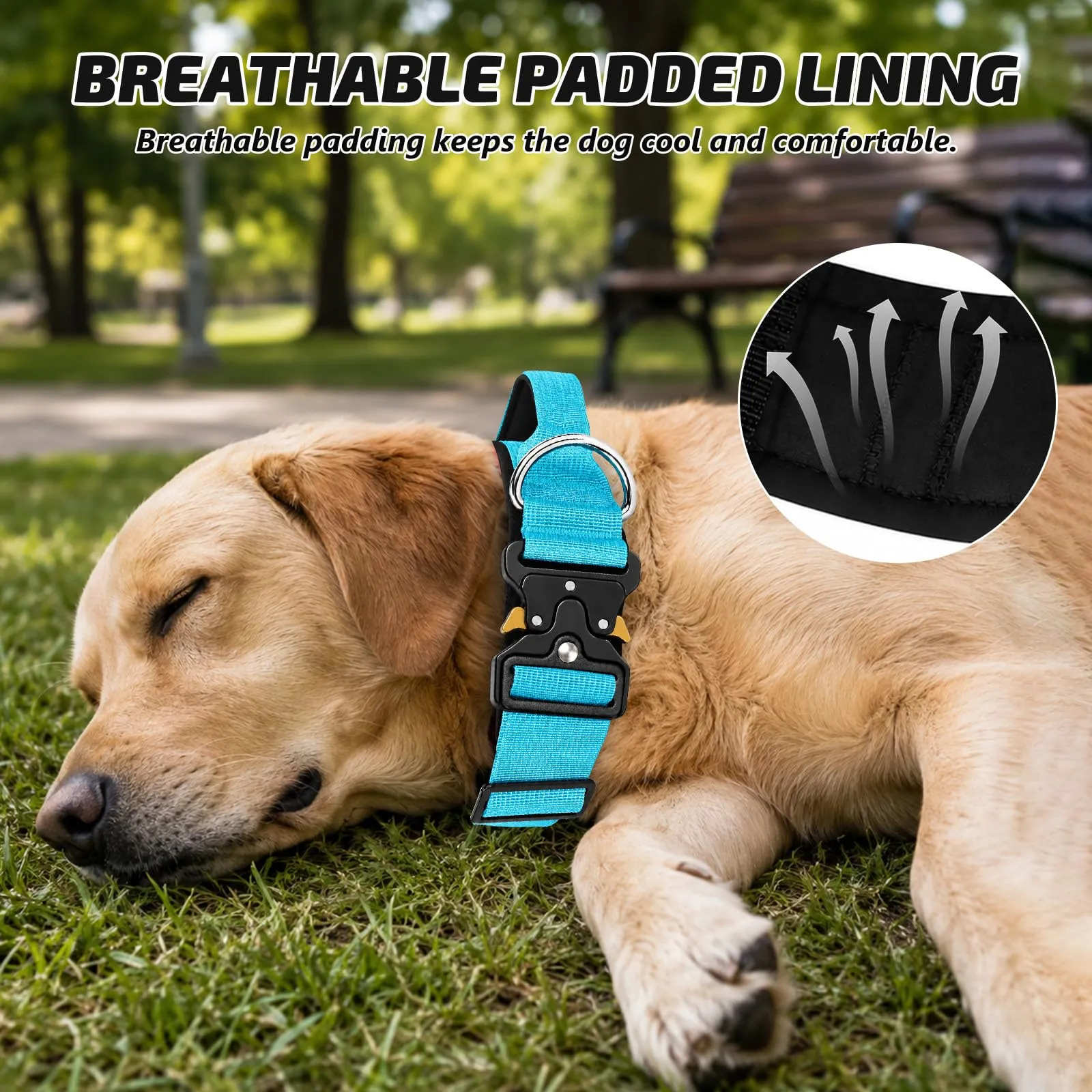 Collare Cane, Collare Tattico Regolabile per Cani Taglia Grande e Media, Larga 3,8 cm, Collari Militare in Nylon per Cani con Maniglia e Robusta Fibbia Metallica Sblocco Rapido (Blu, L) - immagine 4