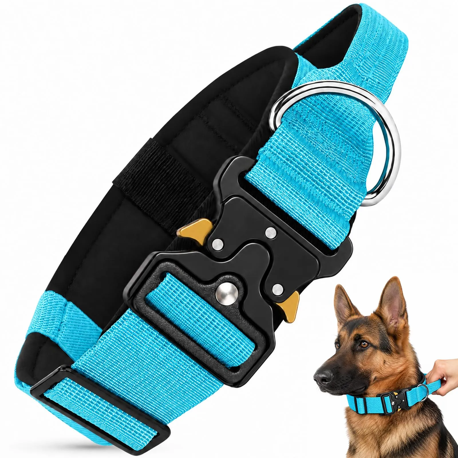 Collare Cane, Collare Tattico Regolabile per Cani Taglia Grande e Media, Larga 3,8 cm, Collari Militare in Nylon per Cani con Maniglia e Robusta Fibbia Metallica Sblocco Rapido (Blu, M) - immagine 1