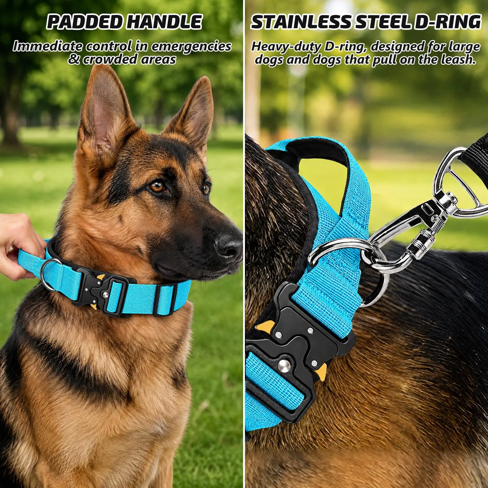 Collare Cane, Collare Tattico Regolabile per Cani Taglia Grande e Media, Larga 3,8 cm, Collari Militare in Nylon per Cani con Maniglia e Robusta Fibbia Metallica Sblocco Rapido (Blu, M) - immagine 3