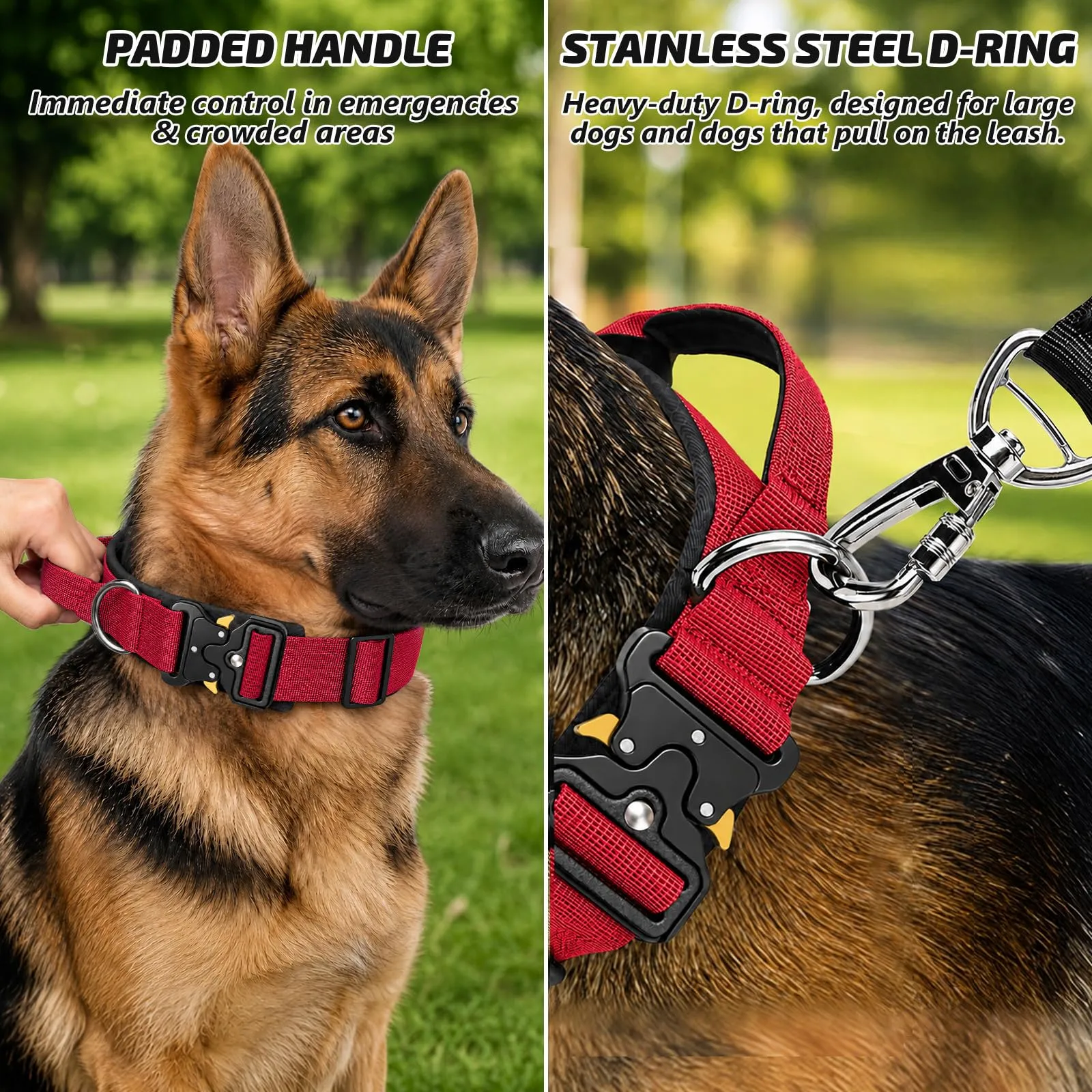 Collare Cane, Collare Tattico Regolabile per Cani Taglia Grande e Media, Larga 3,8 cm, Collari Militare in Nylon per Cani con Maniglia e Robusta Fibbia Metallica Sblocco Rapido (Rosso, M) - immagine 3