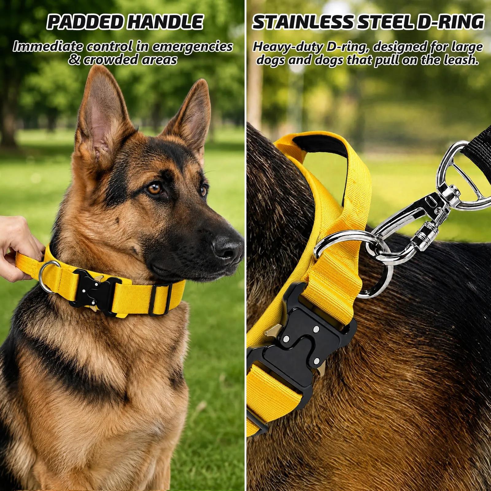 Collare Cane, Collare Tattico Regolabile per Cani Taglia Grande e Media, Larga 3,8 cm, Collari Militare in Nylon per Cani con Maniglia e Robusta Fibbia Metallica Sblocco Rapido (Giallo, XL) - immagine 3