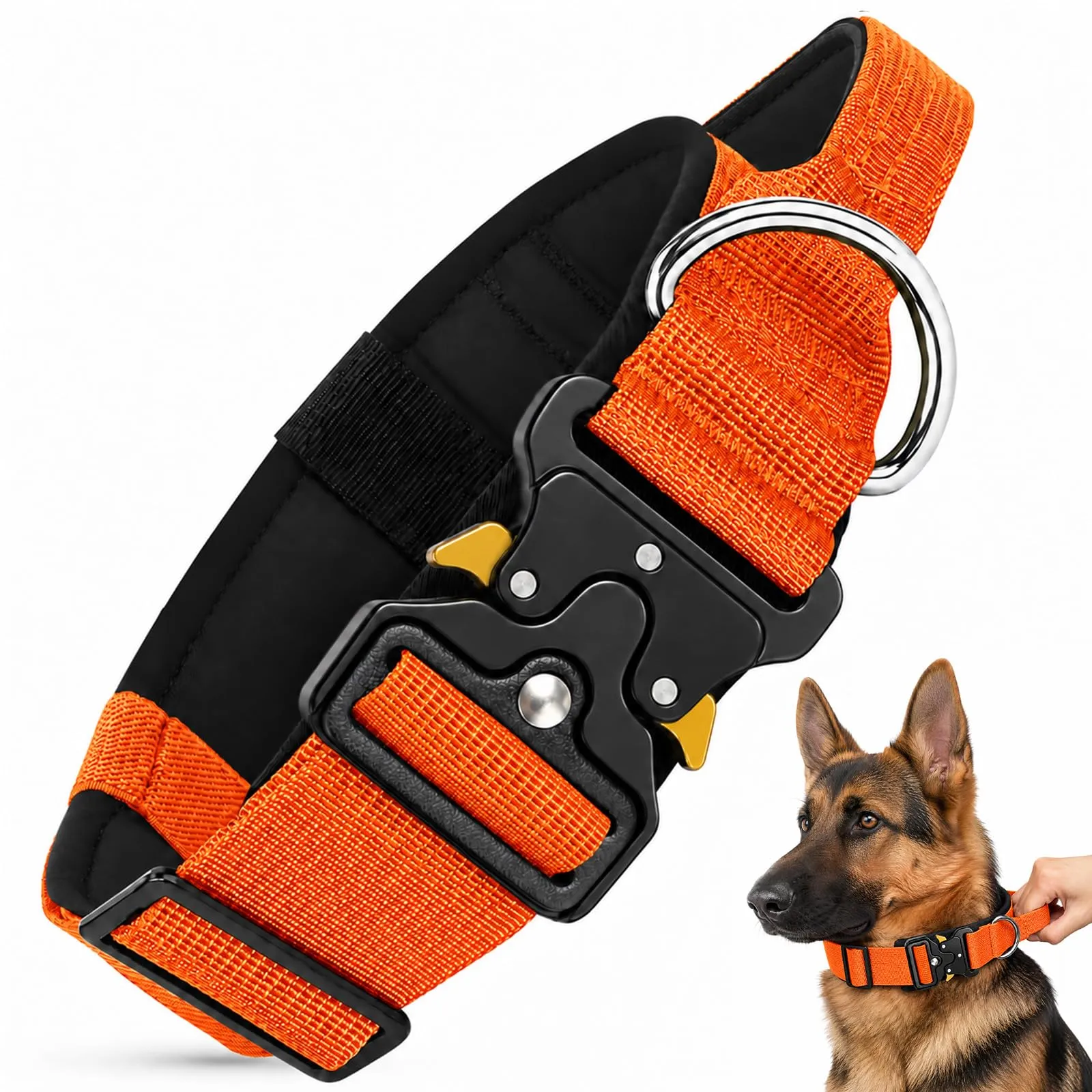 Collare Cane, Collare Tattico Regolabile per Cani Taglia Grande e Media, Larga 3,8 cm, Collari Militare in Nylon per Cani con Maniglia e Robusta Fibbia Metallica Sblocco Rapido (Arancione, M) - immagine 1