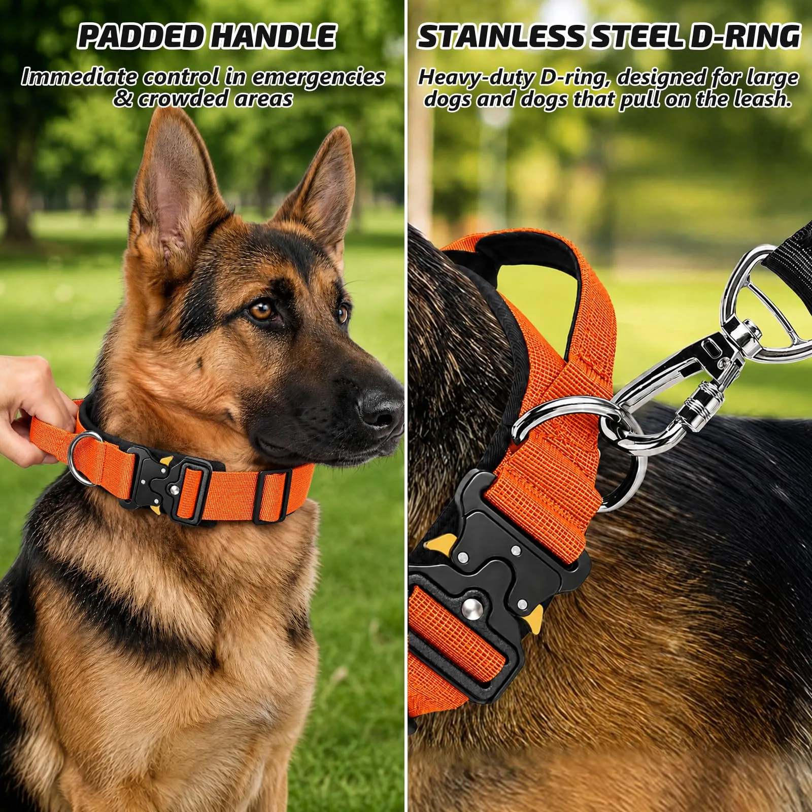Collare Cane, Collare Tattico Regolabile per Cani Taglia Grande e Media, Larga 3,8 cm, Collari Militare in Nylon per Cani con Maniglia e Robusta Fibbia Metallica Sblocco Rapido (Arancione, M) - immagine 3